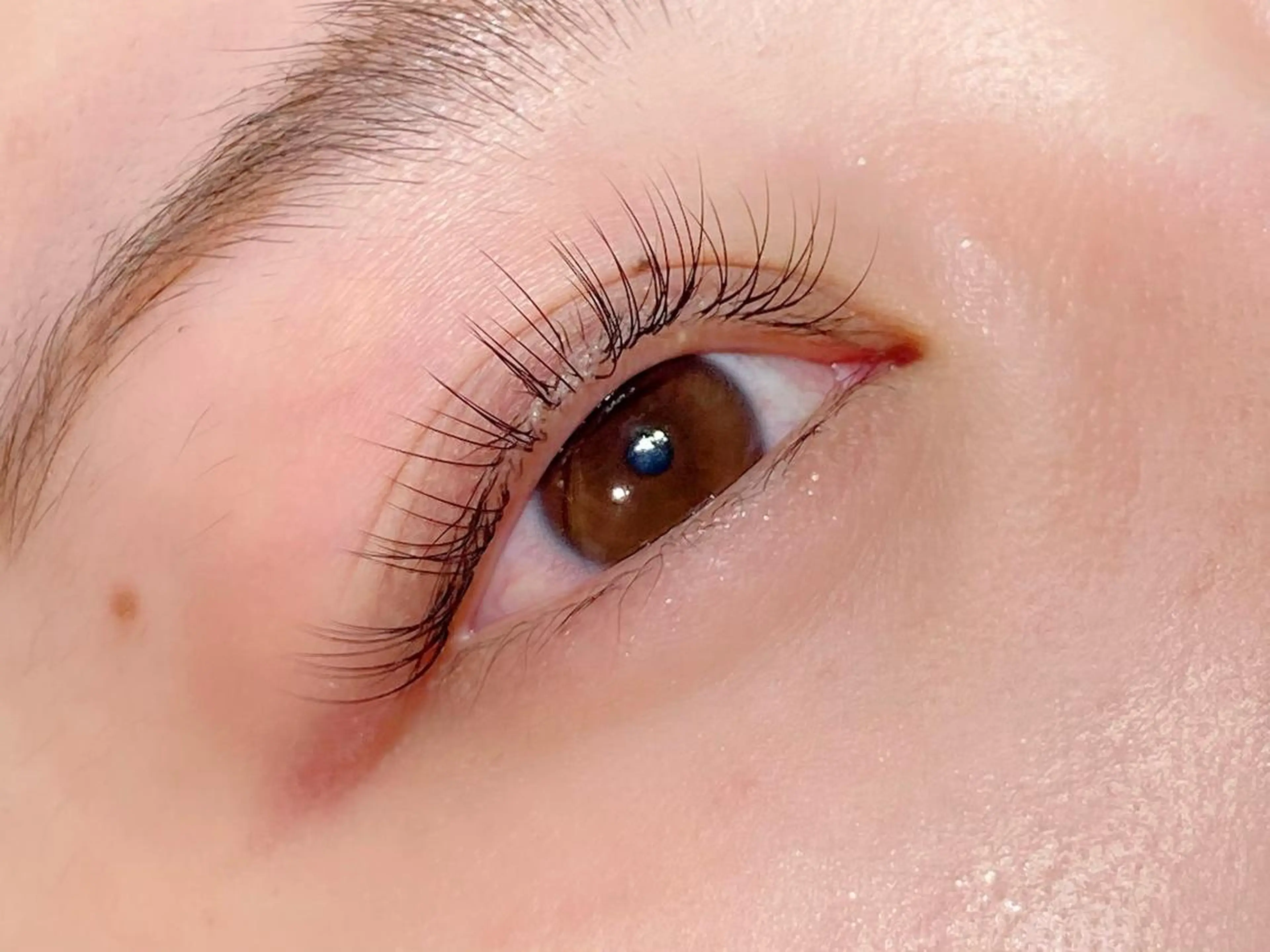 マツエク・マツパ フラットラッシュ マツエク Neo店長🌿 KOTONO🌿のマツエク・マツパデザイン