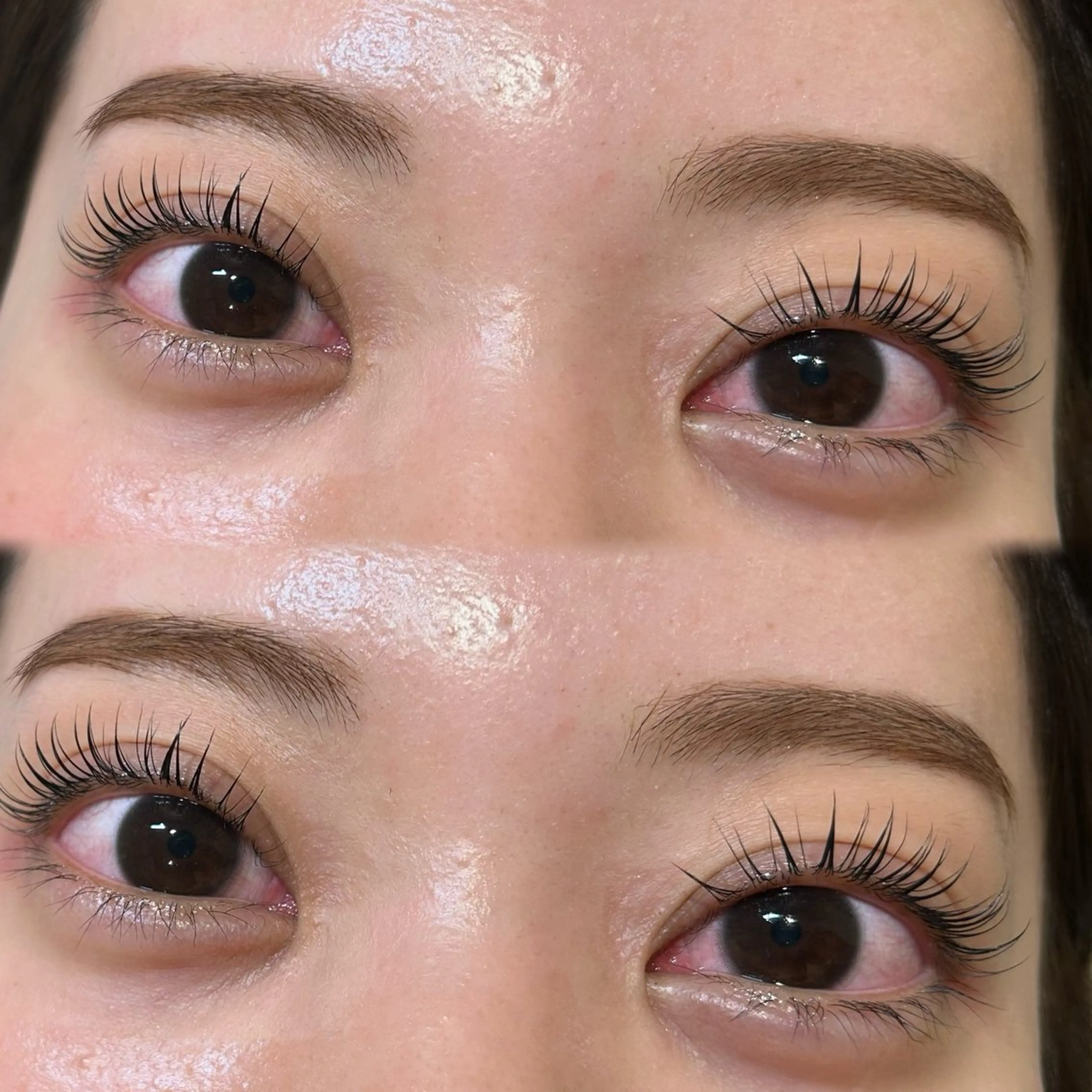 美眉スタイリング(wax/メイク込)➕まつ毛パーマ(高濃度美容液付)の写真