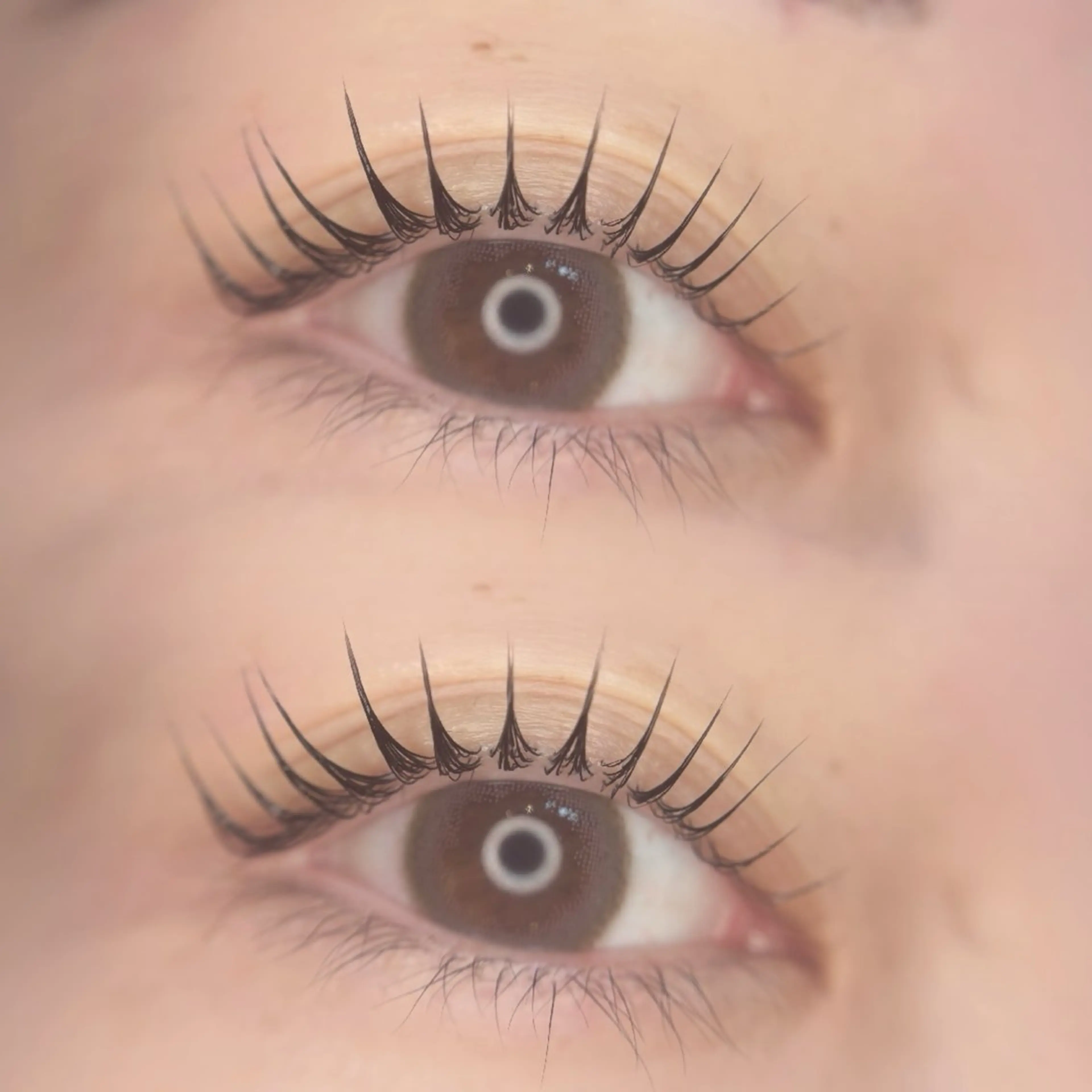 マツエク・マツパ 🦋MaaZlash 南流山FUKA🤍のマツエク・マツパデザイン