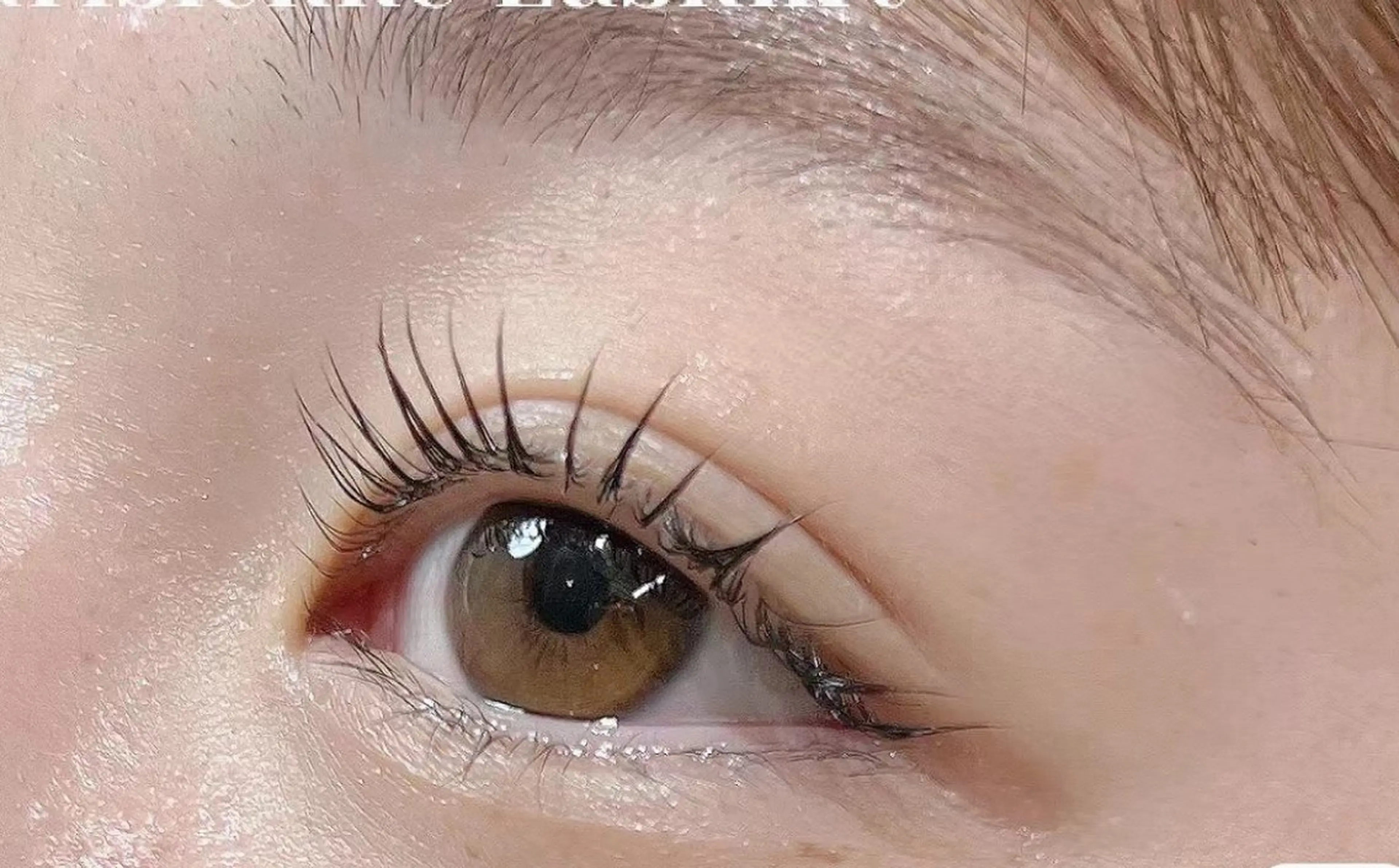 🎀パリジエンヌラッシュリフト上下+ケチントリートメントの写真