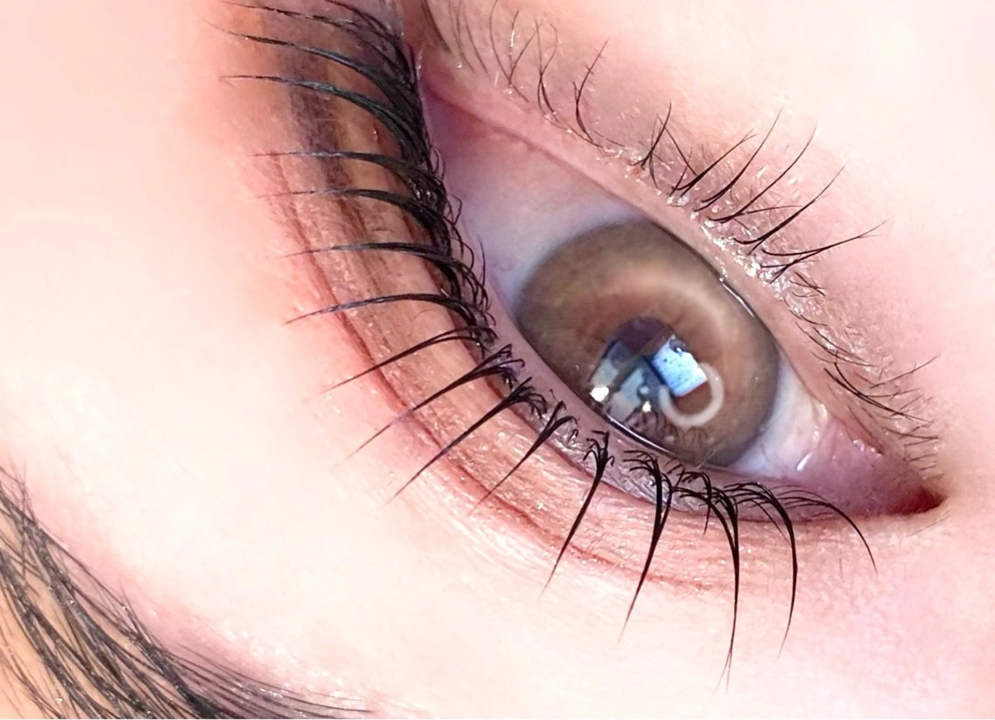 【限定クーポン】今圧倒的大人気！！パリジェンヌラッシュリフトの写真