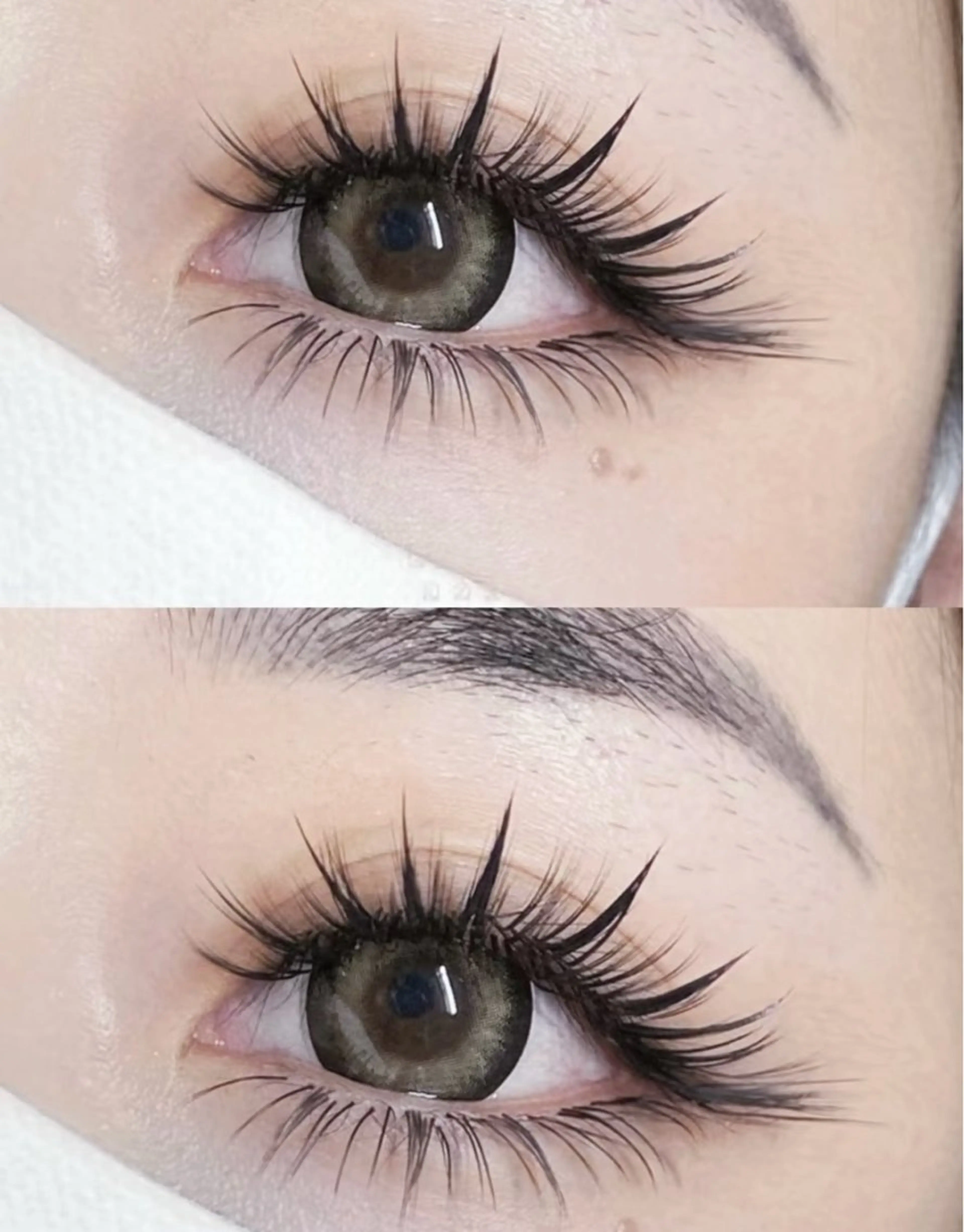 🌺特別価格🌹ワンホンマツエクボリューム80束💐の写真