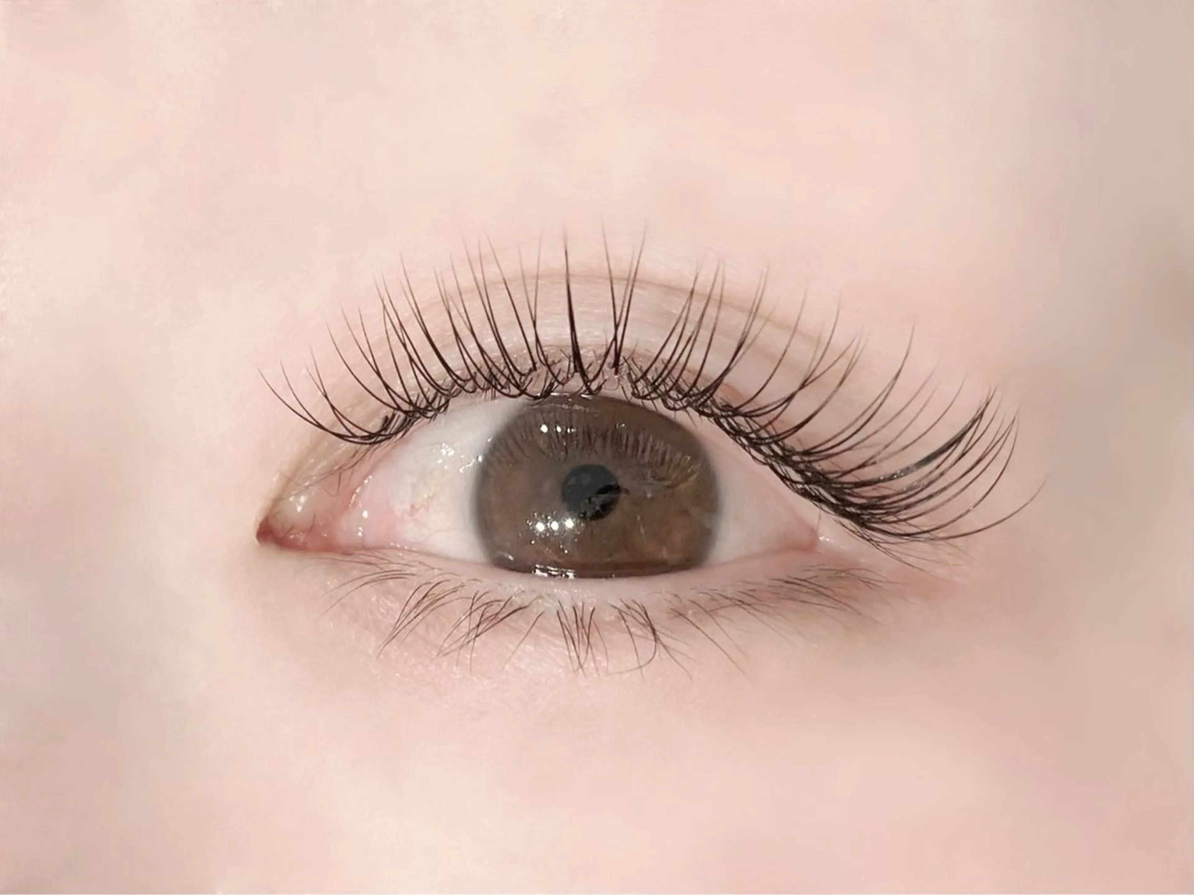 ▪️ フラットラッシュ～130本までつけ放 ▪️の写真