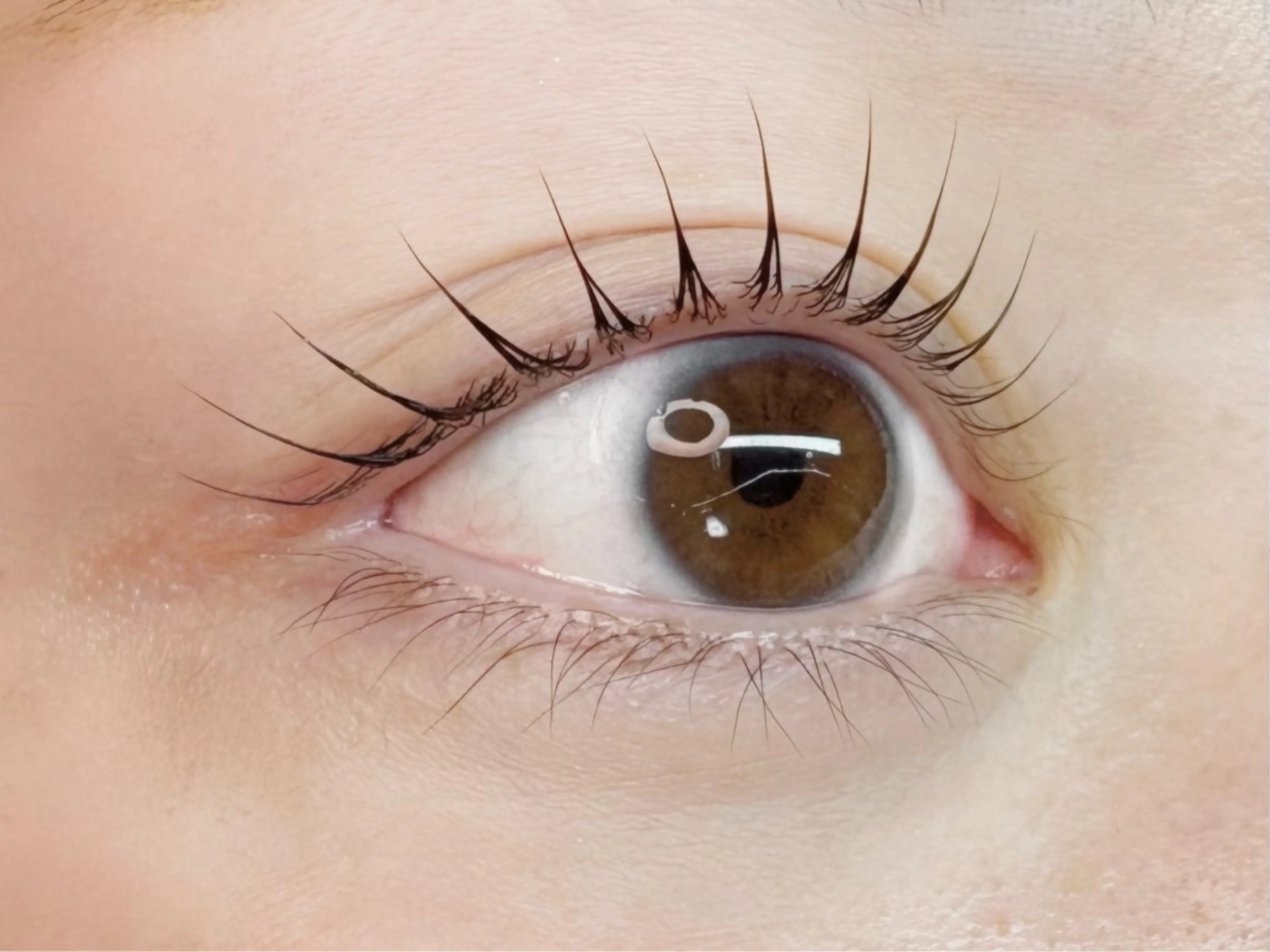 マツエク・マツパ パリジェンヌラッシュリフト まつげパーマ マツパ Chisato🤍池 袋/マツパ/マツエクのマツエク・マツパデザイン