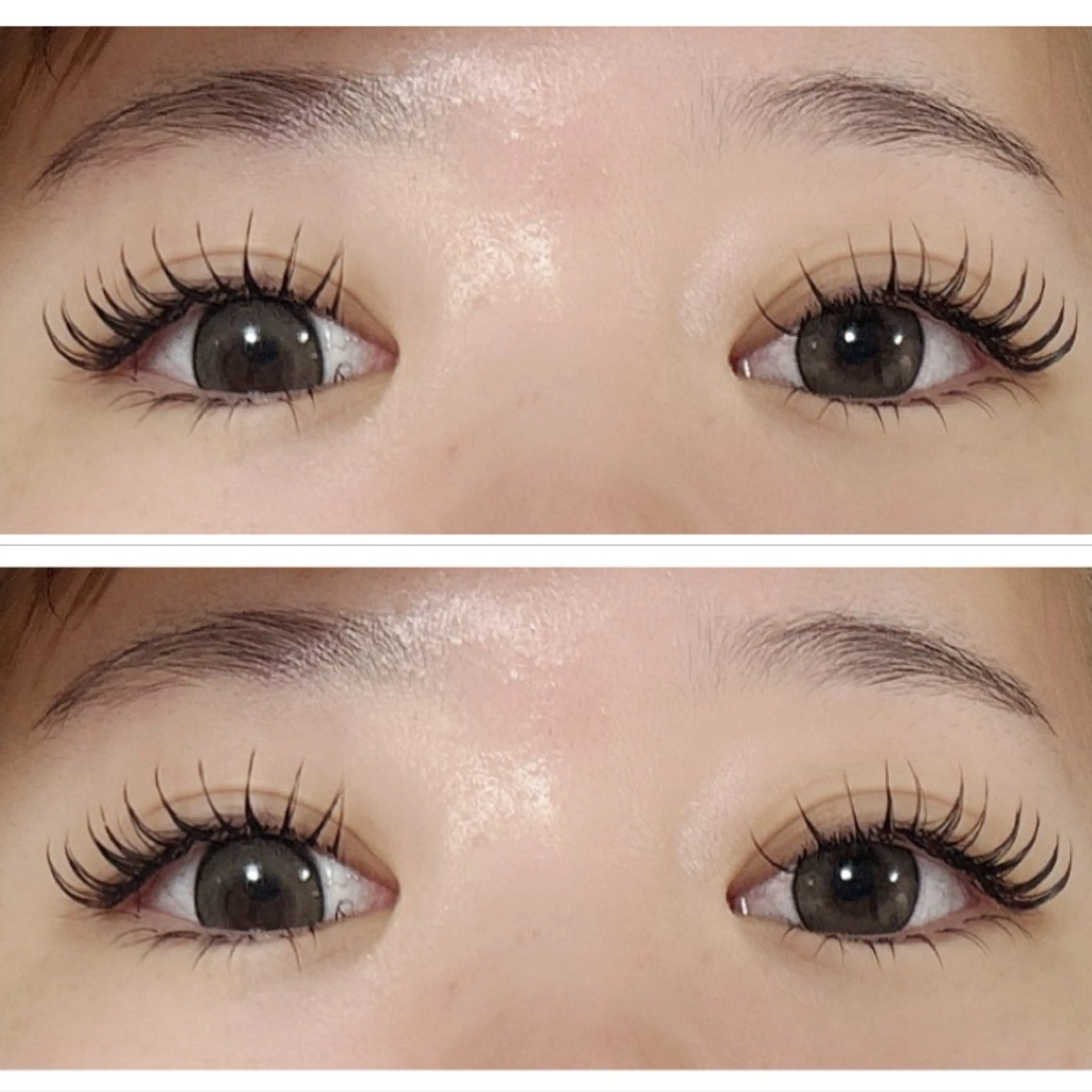 マツエク・マツパ 束感まつ毛 ボリュームラッシュ Ci ara🍒のマツエク・マツパデザイン