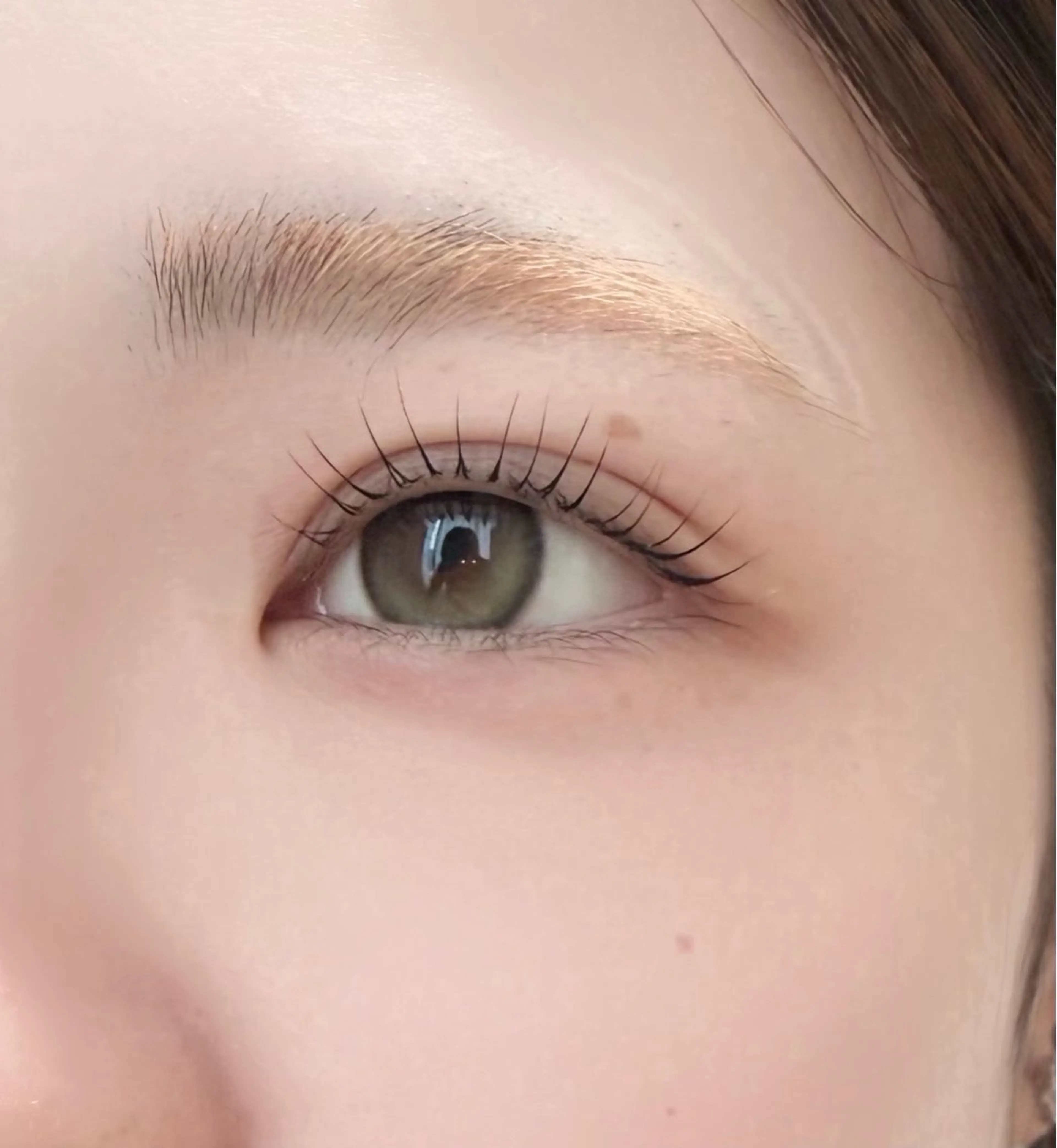 《4月限定大特価✨》まつ毛パーマ🎀(上)の写真