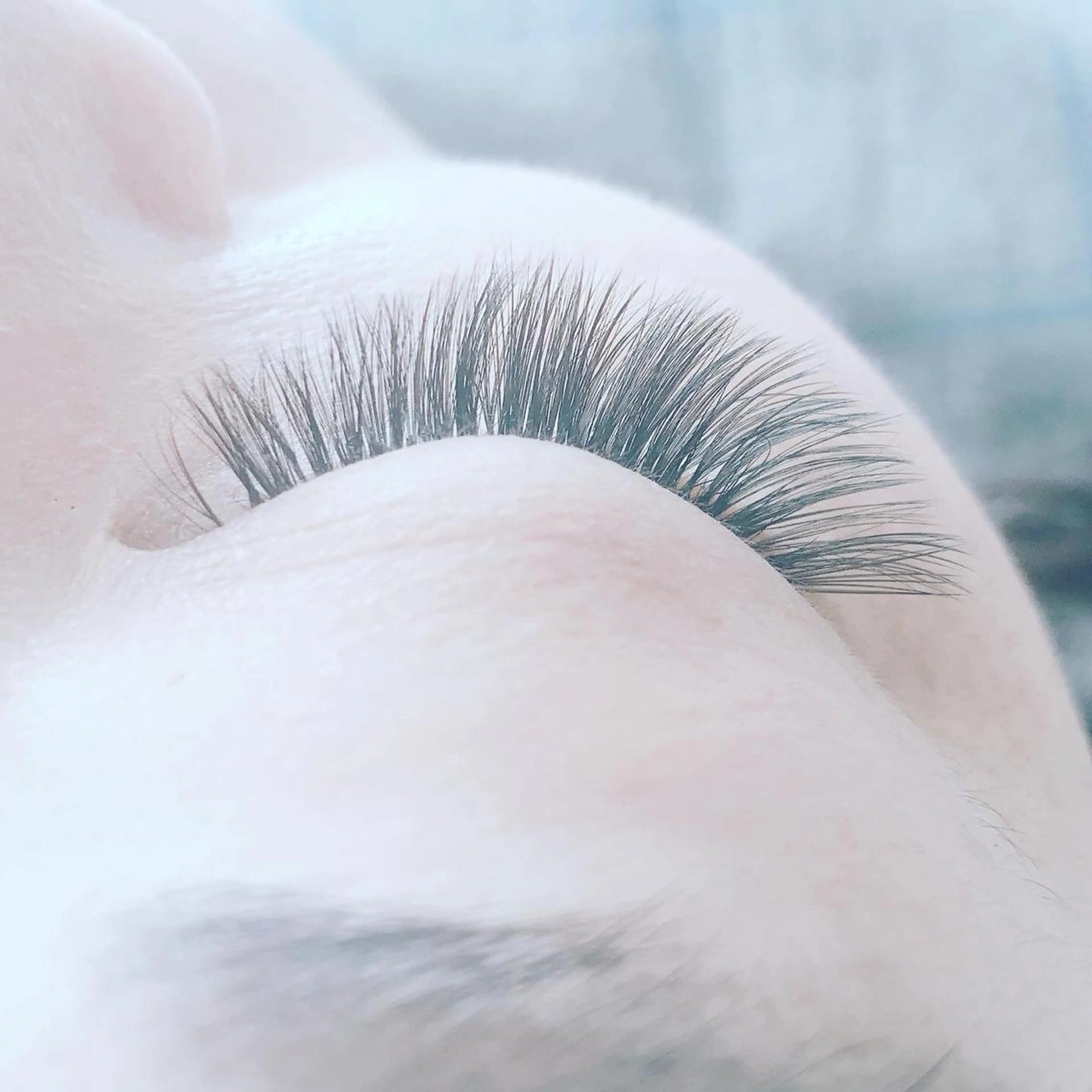 カラー パーマ ヘアアレンジ キッズ ネイル マツエク・マツパ ボリュームラッシュ 神山 ビューティー・アイのマツエク・マツパデザイン