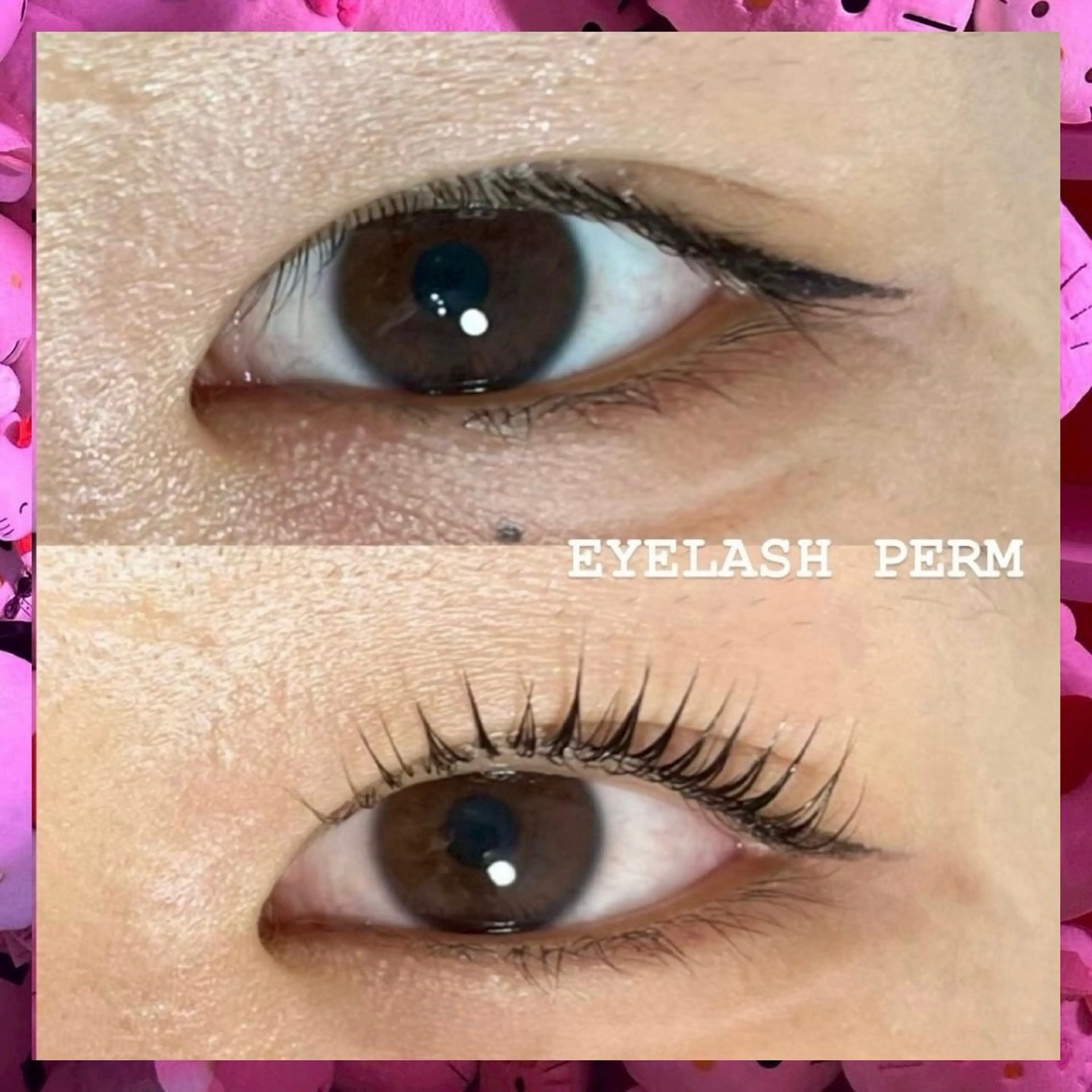 マツエク・マツパ 、 、の眉毛・アイブロウイメージ