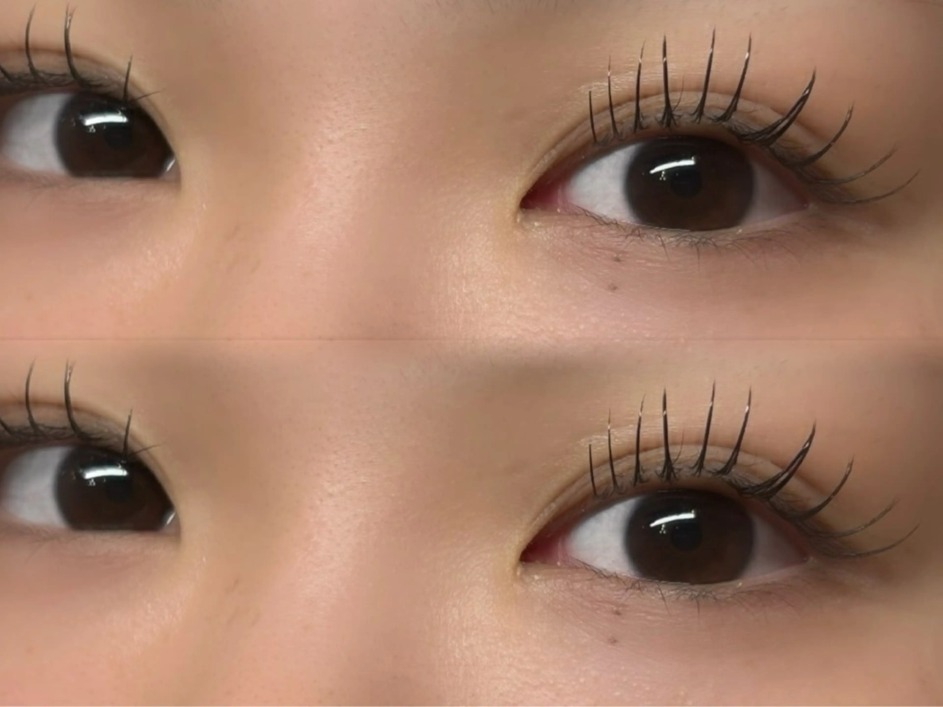 フラットラッシュ80​〜​120本🎀の写真