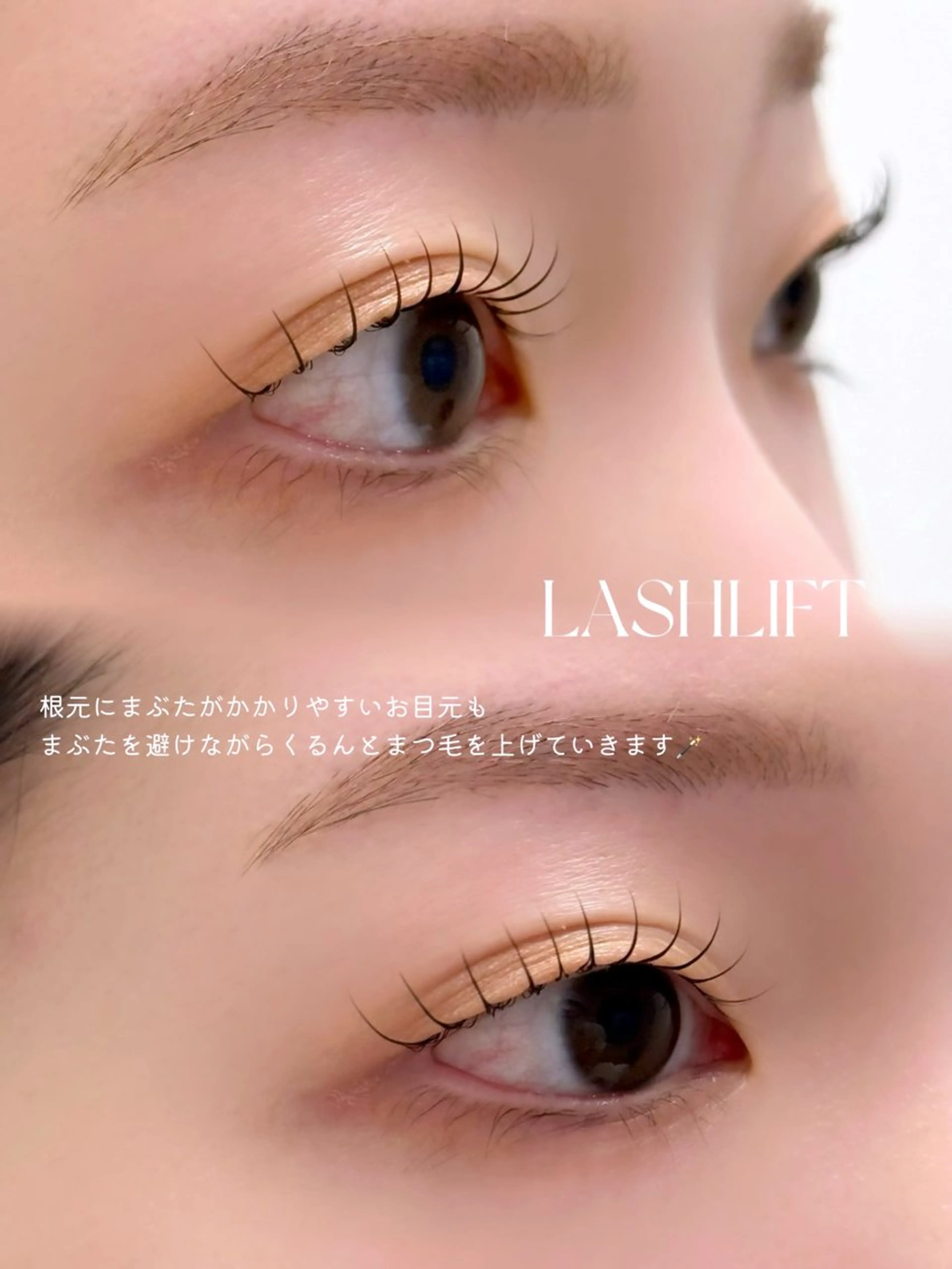 ãããšã¯ã»ããã ææãŸã€æ¯ éåœé¢šãããšã¯ ããªãžã§ã³ãã©ãã·ã¥ãªãã ãŸã€ãããŒã äžéÃãŸã€æ¯ããŒã ããã téa. -eyeroom-æå±ã»téa. reina/衚åéã®ãããšã¯ã»ããããã¶ã€ã³