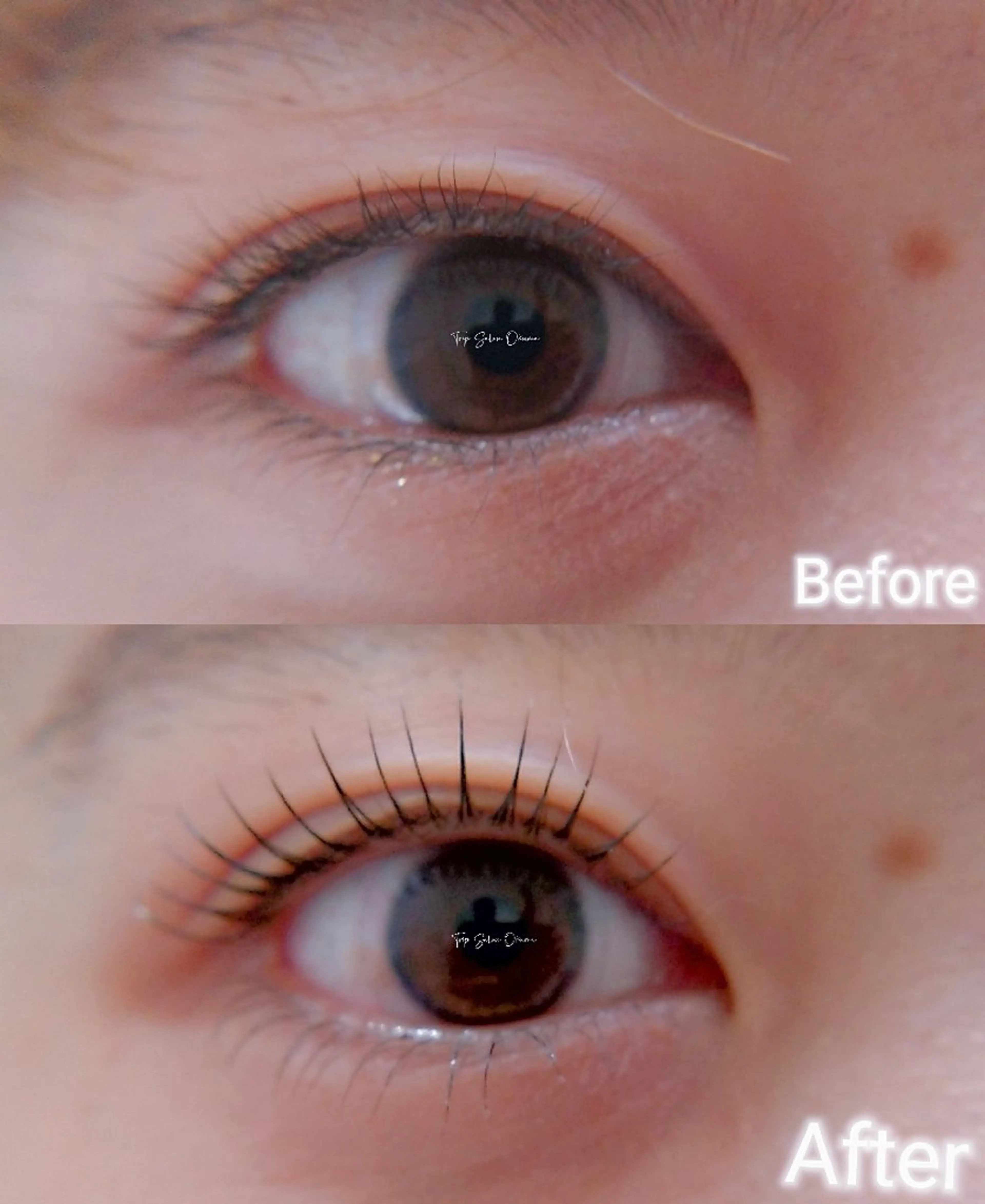 マツエク・マツパ 下まつげエクステ 一重×まつ毛パーマ ❤LEDまつぱ❤那覇 🅿️有、泉崎のマツエク・マツパデザイン