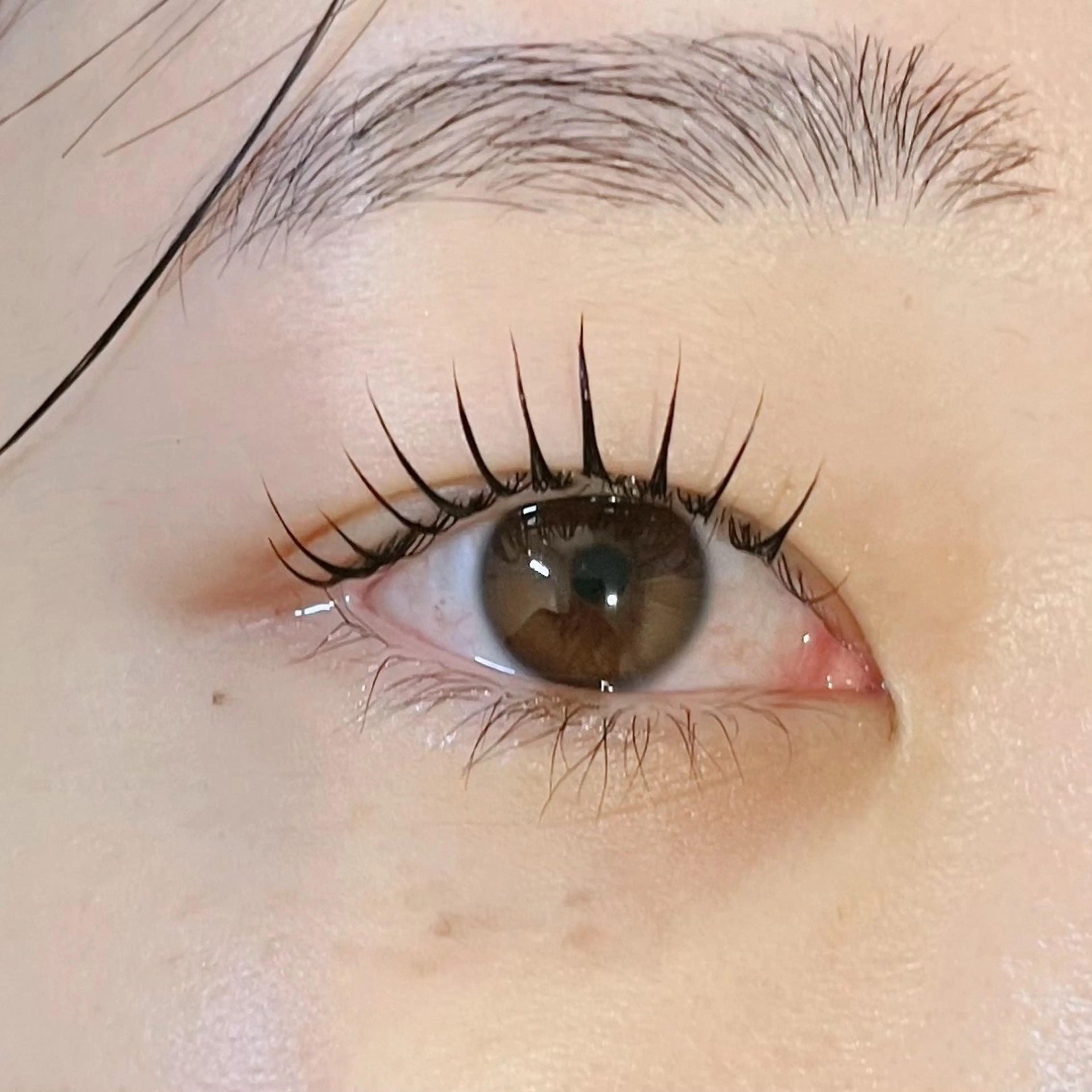 マツエク・マツパ マツパ nouvell セキモユウカ🦄のマツエク・マツパデザイン