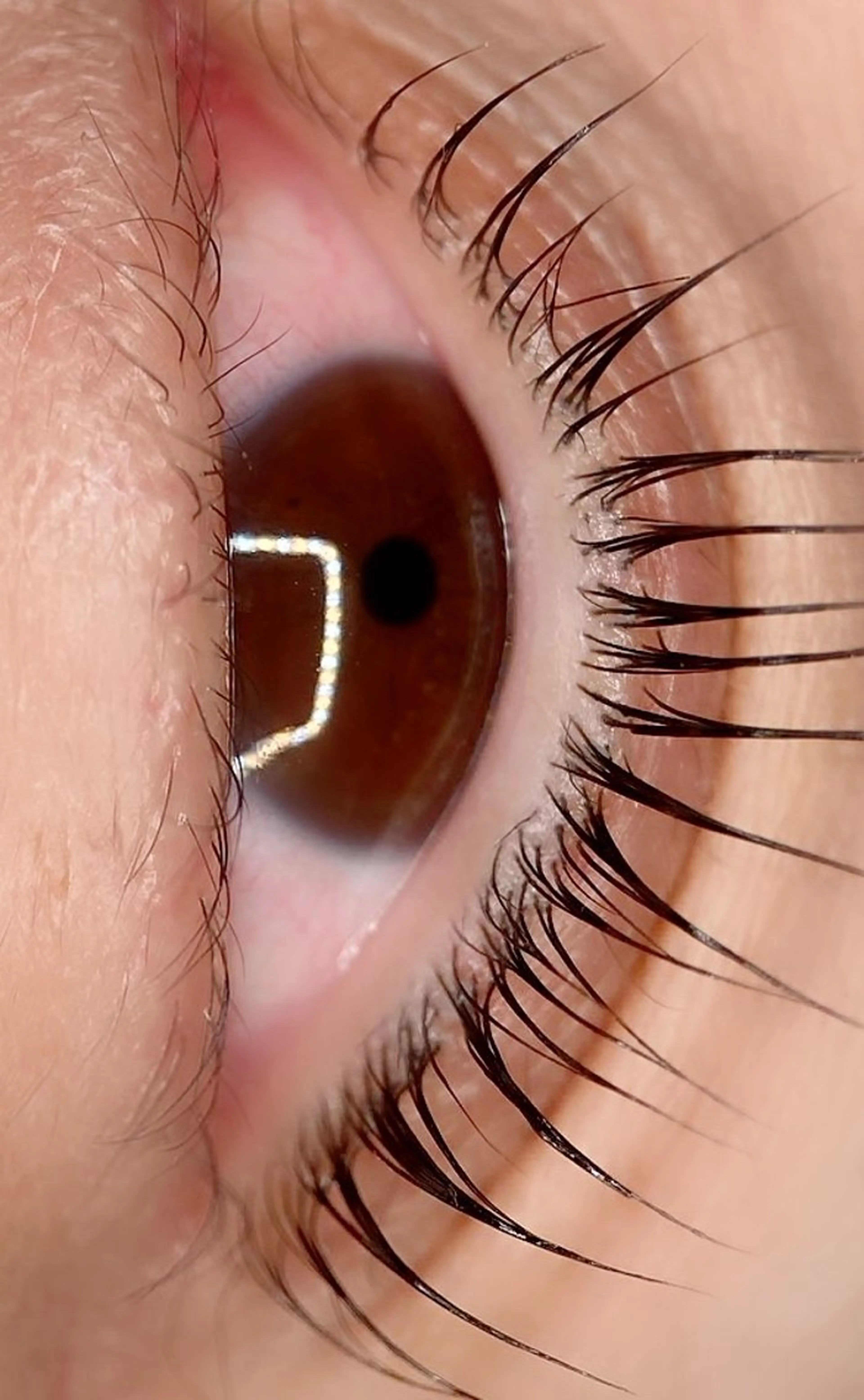 マツエク・マツパ 束感まつ毛 KAWAKITA  MAMIのマツエク・マツパデザイン