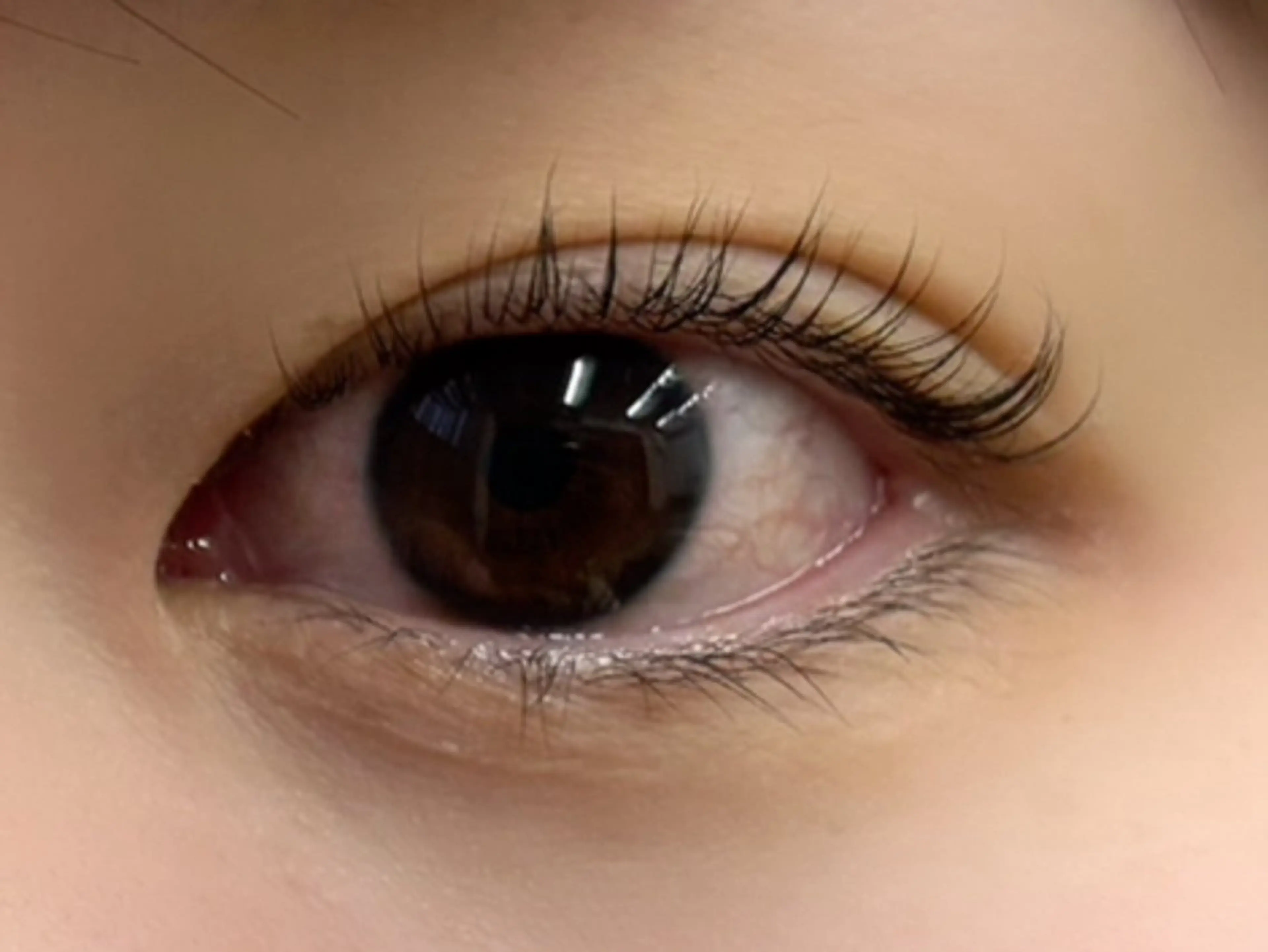 マツエク・マツパ 𝚒𝚔𝚞𝚖𝚒 🪽✧˖°.のマツエク・マツパデザイン