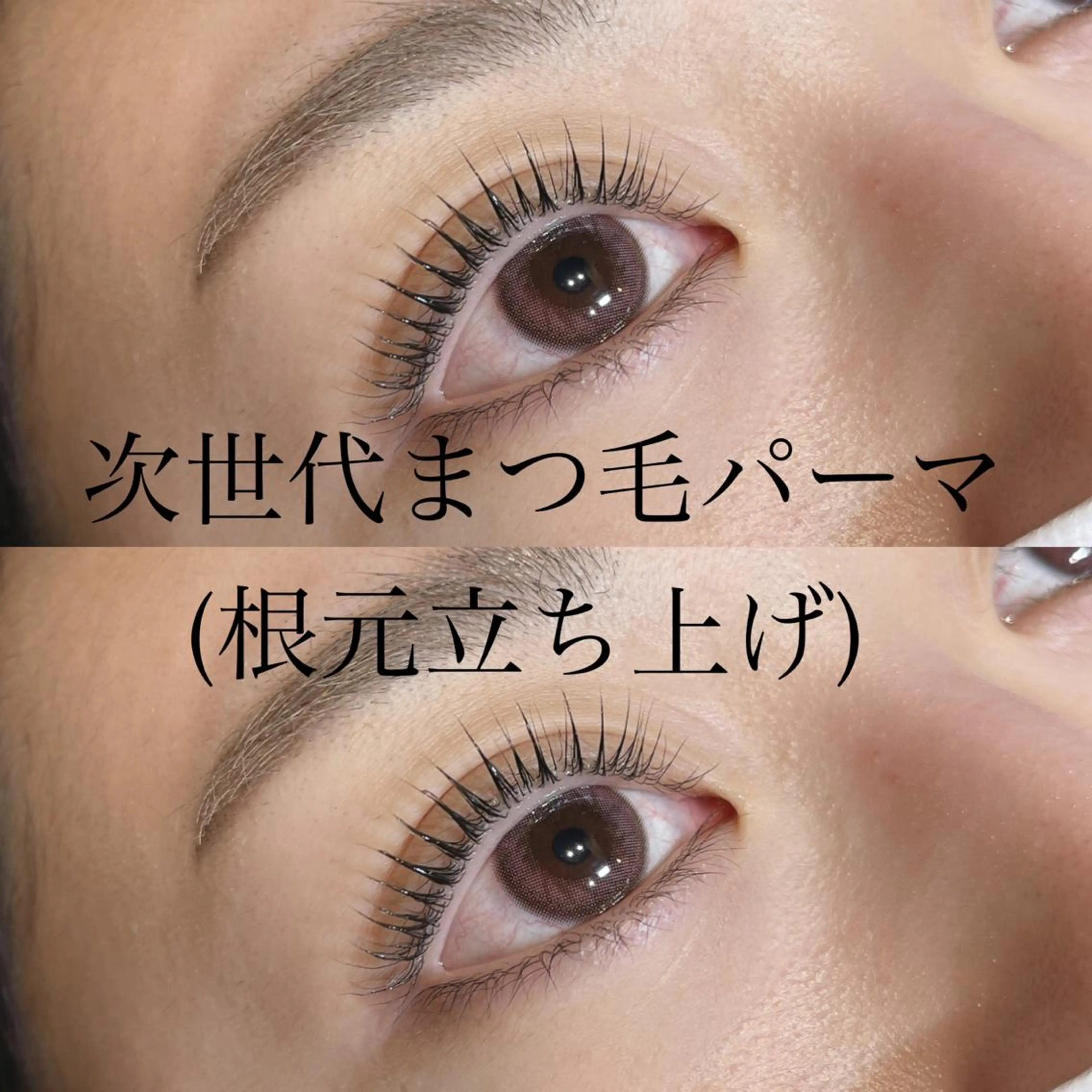 【5月限定】次世代まつげパーマ(根本立ち上げ)の写真