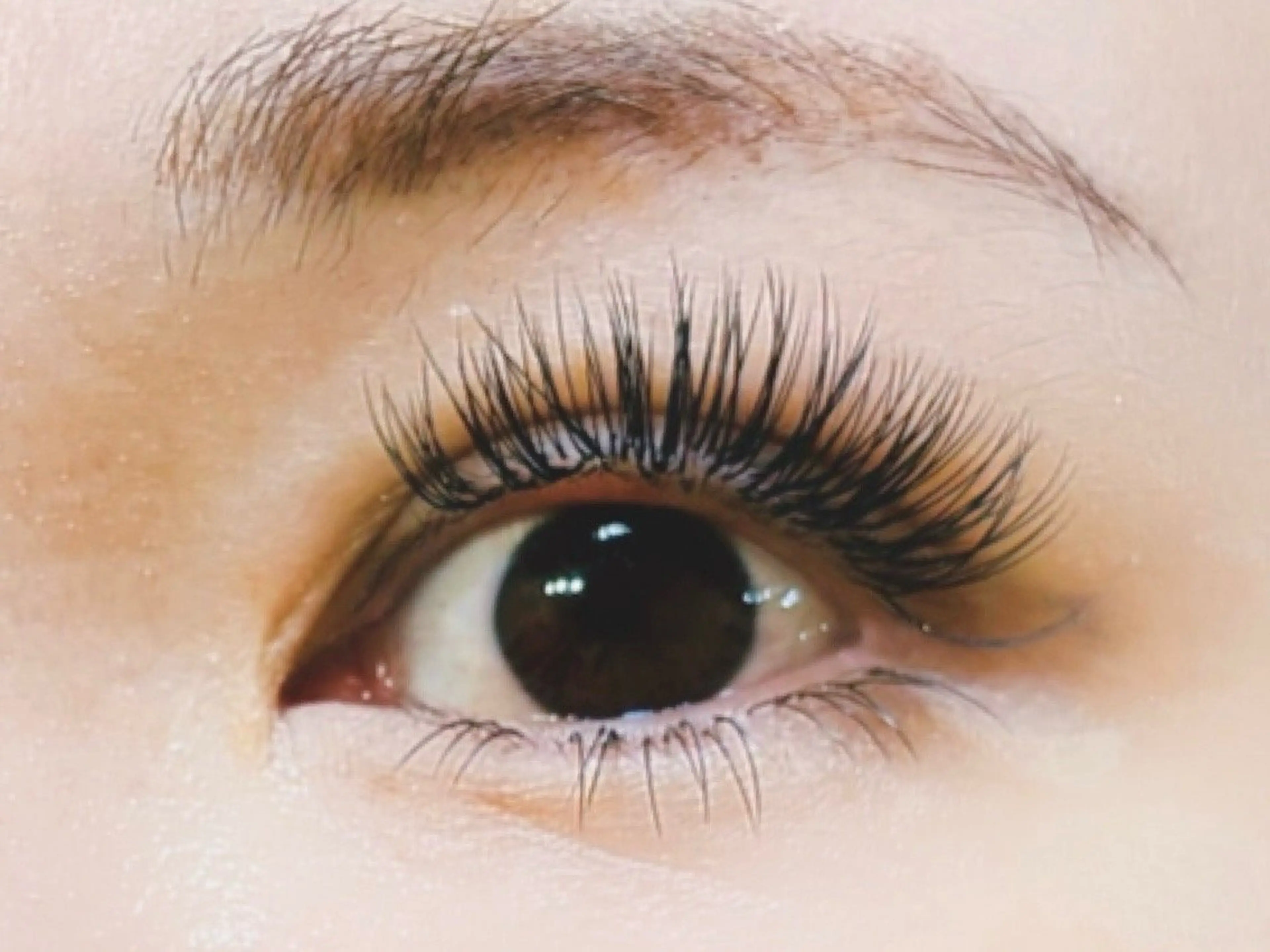 マツエク・マツパ 付け放題 バインドロック 束感まつ毛 フラットラッシュ パリジェンヌラッシュリフト マツエク AURORA RINAのマツエク・マツパデザイン