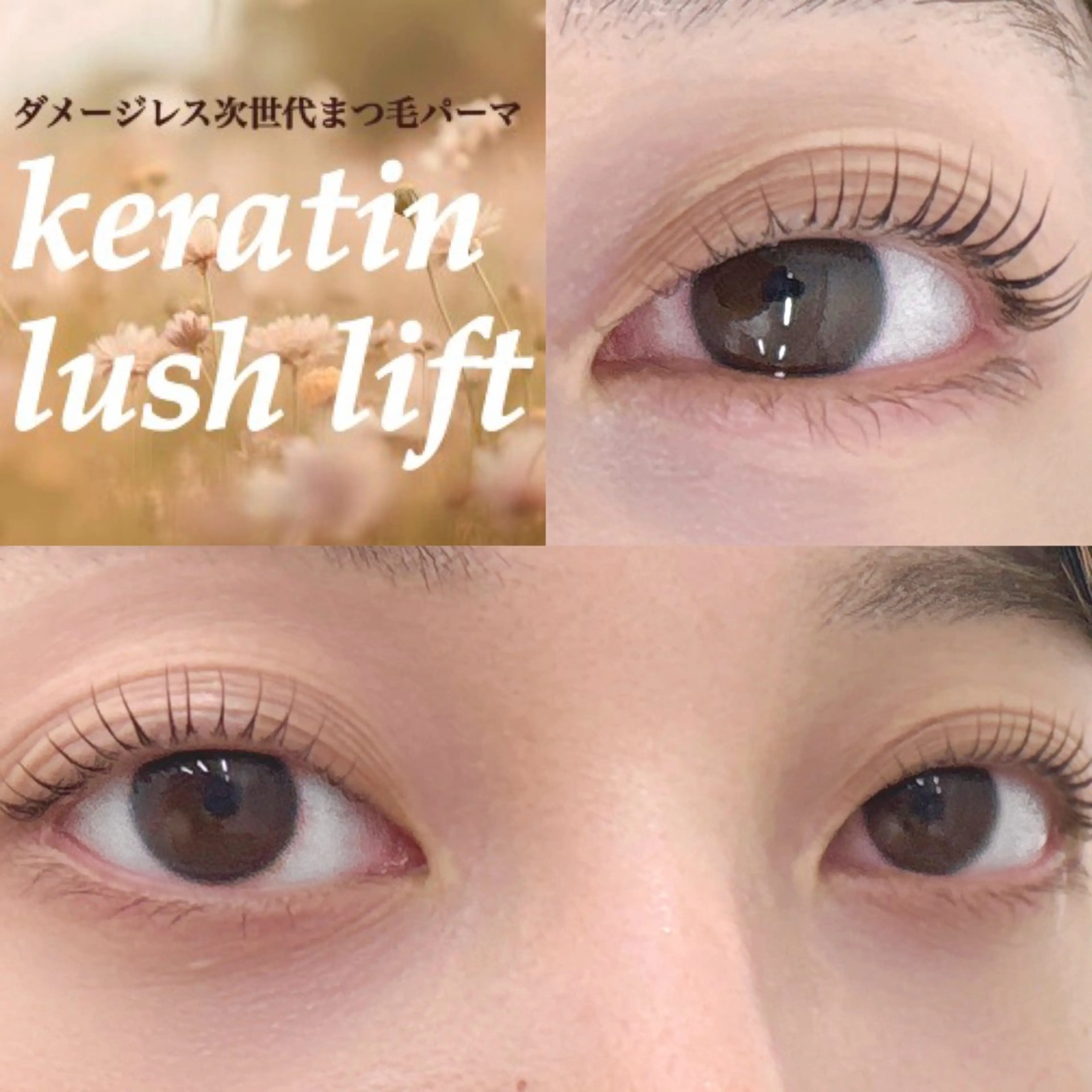 【ミニモ限定】《次世代まつ毛パーマ👑・:+°》ケラチントリートメント付まつ毛パーマ🐻❄️🤍+コーティングの写真