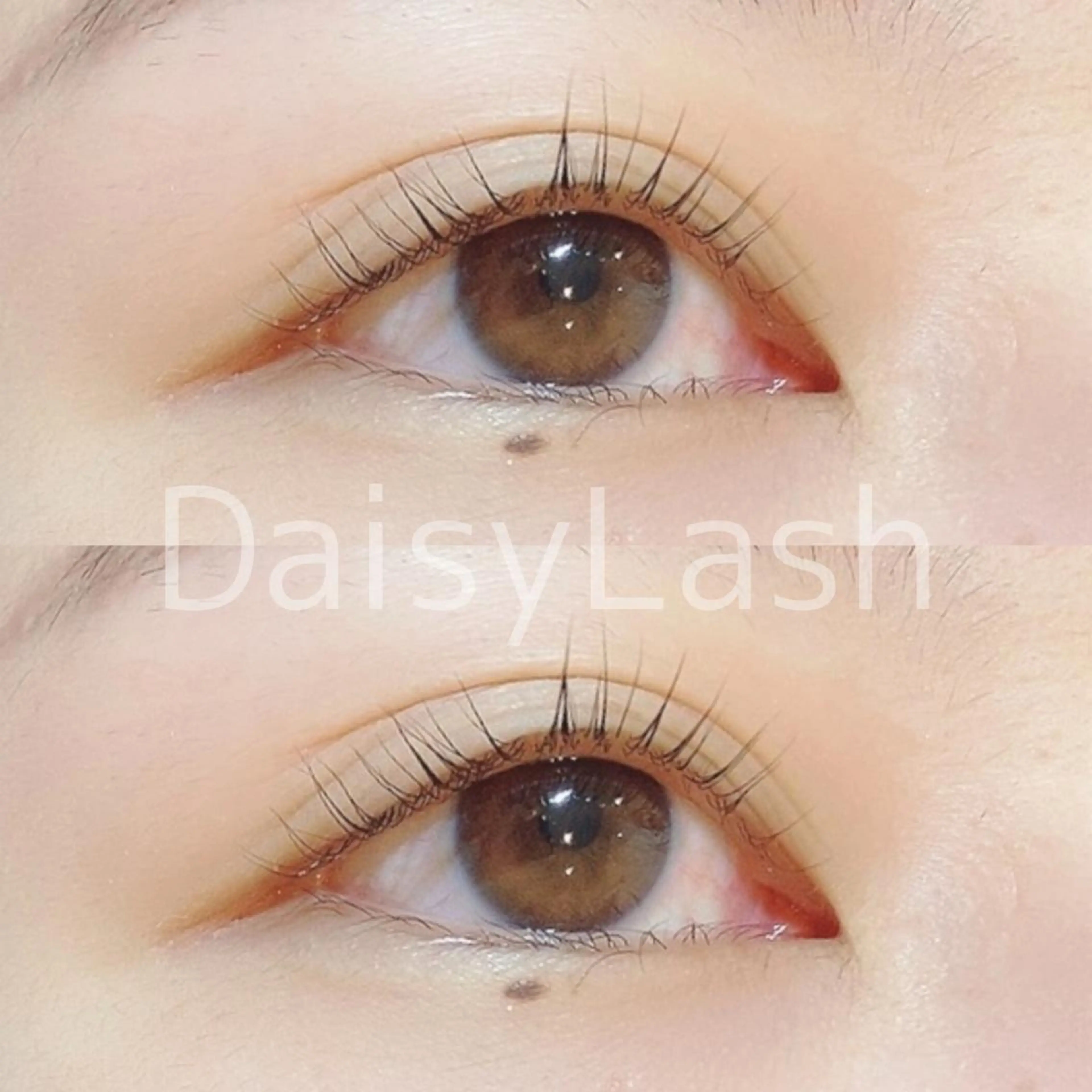 マツエク・マツパ DaisyLash 京橋店のマツエク・マツパデザイン