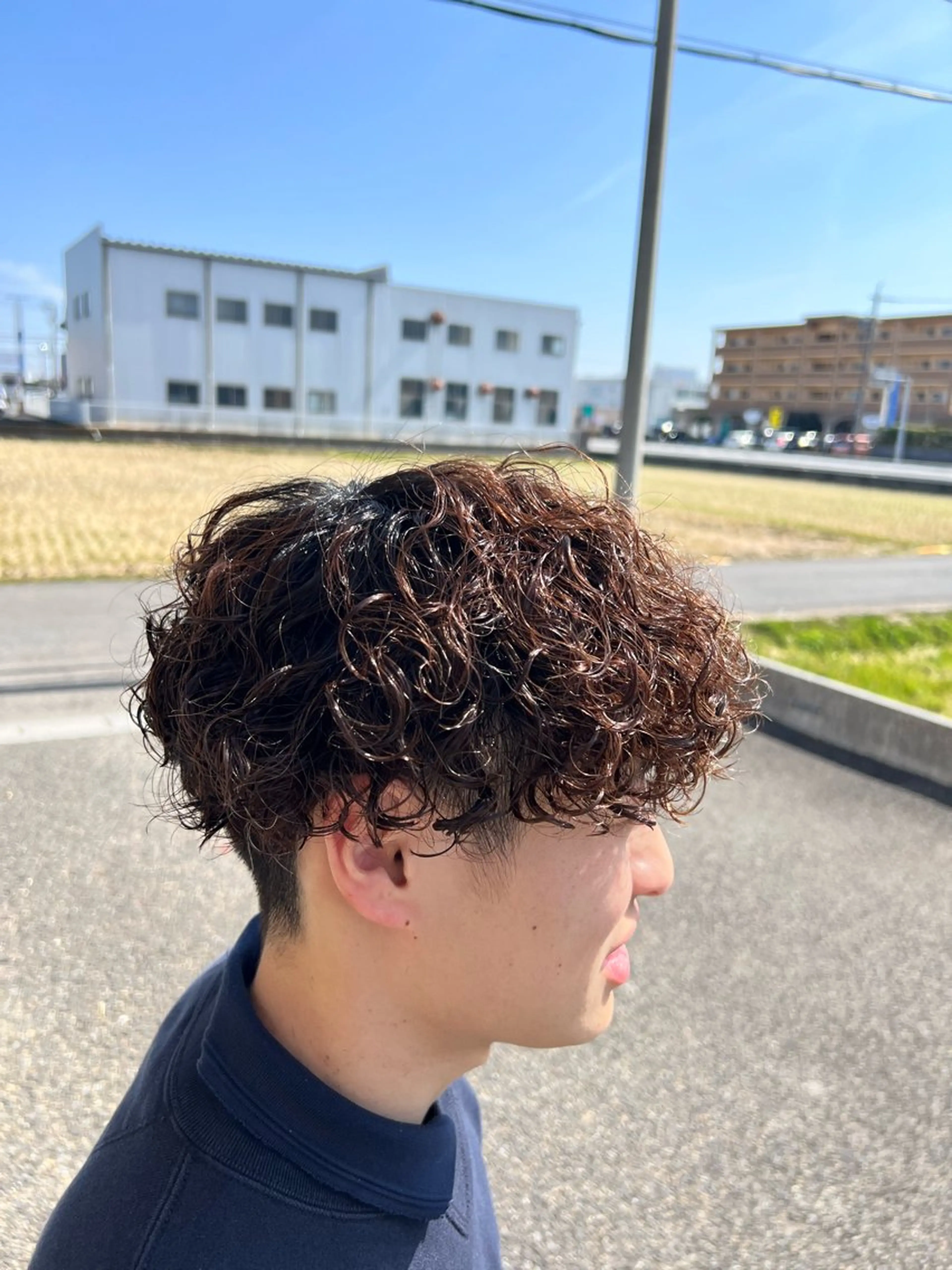 ショート メンズ メンズパーマ プードルパーマ プードルパーマ カット パーマ トリートメント Oops旧TABOO 早野太郎のヘアスタイル