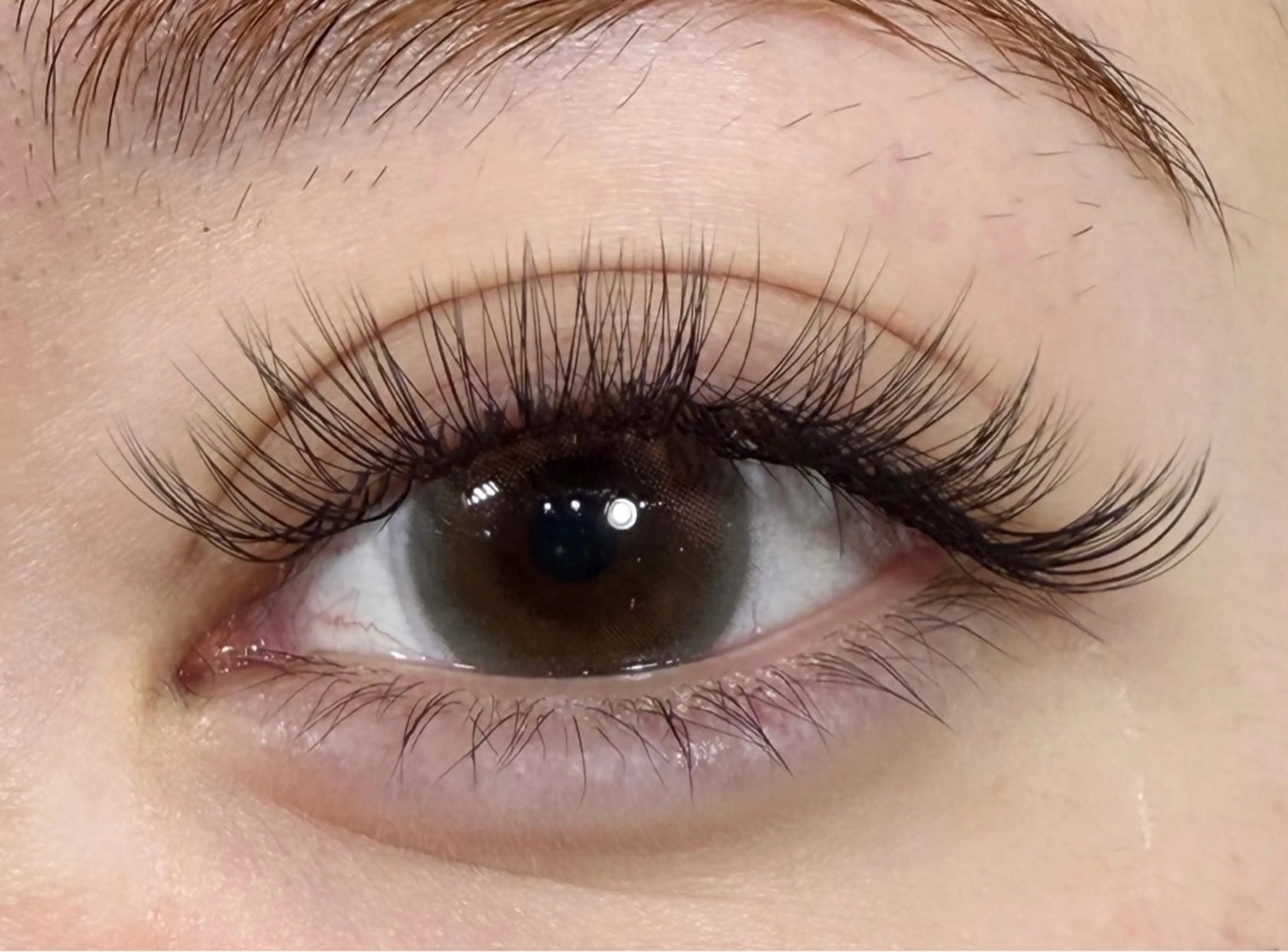 マツエク・マツパ Dカール ボリュームラッシュ マツエク 川畑🌻 アンジェリカ錦糸町のマツエク・マツパデザイン