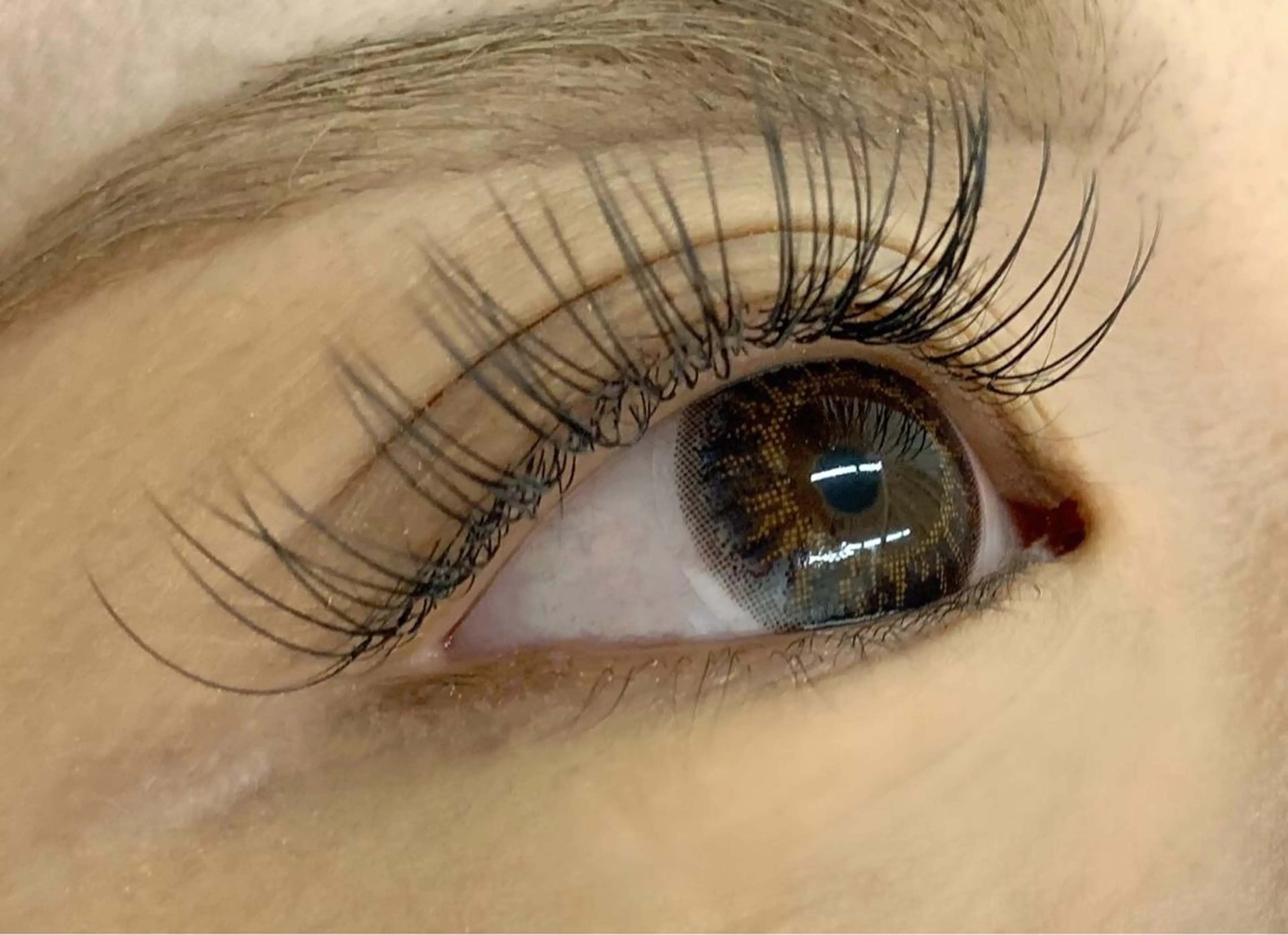 🧸オフ込み最高級セーブルエクステ120本🧸(アフターコーティング付き☆)の写真