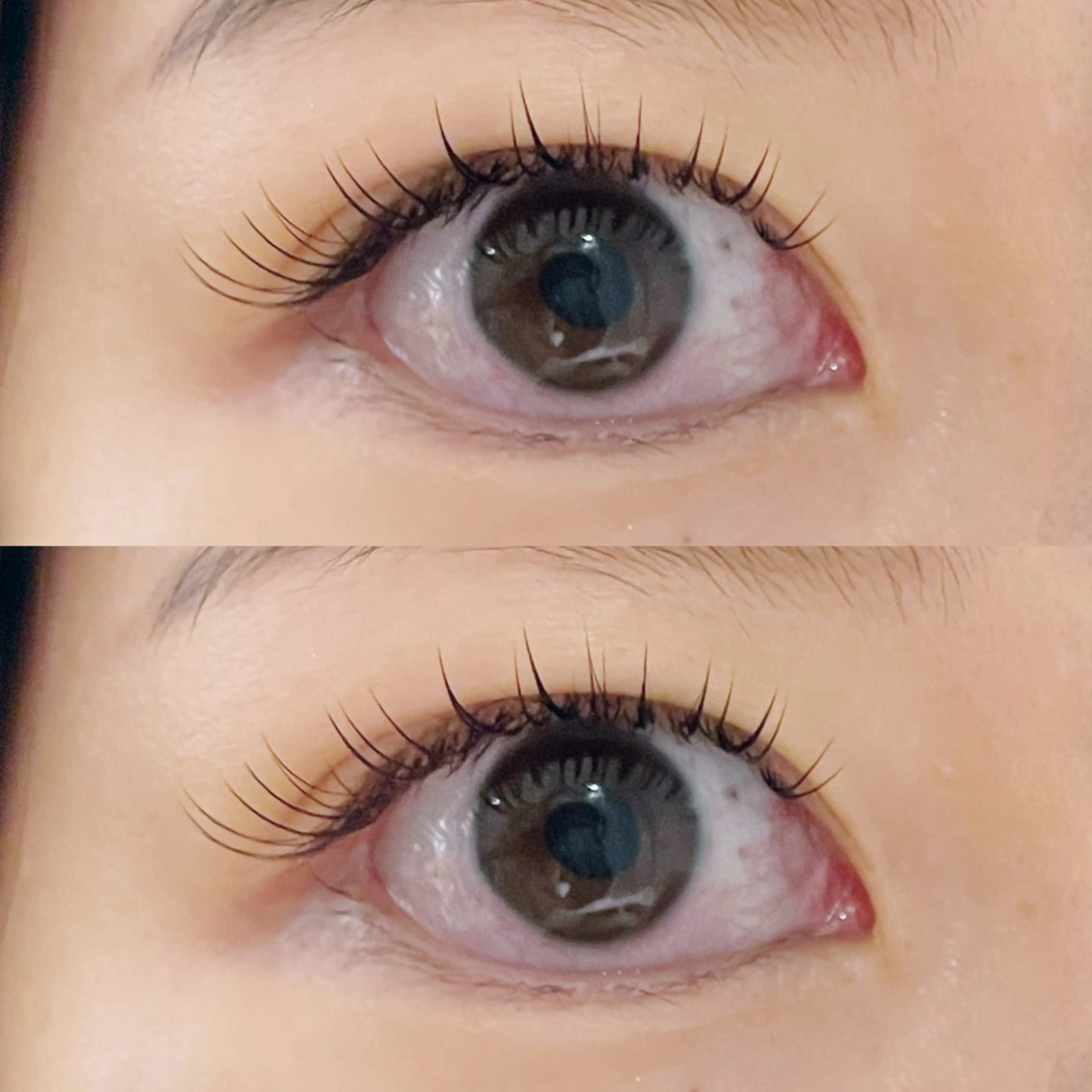 マツエク・マツパ マツエク riche eye_ aya🪞のマツエク・マツパデザイン