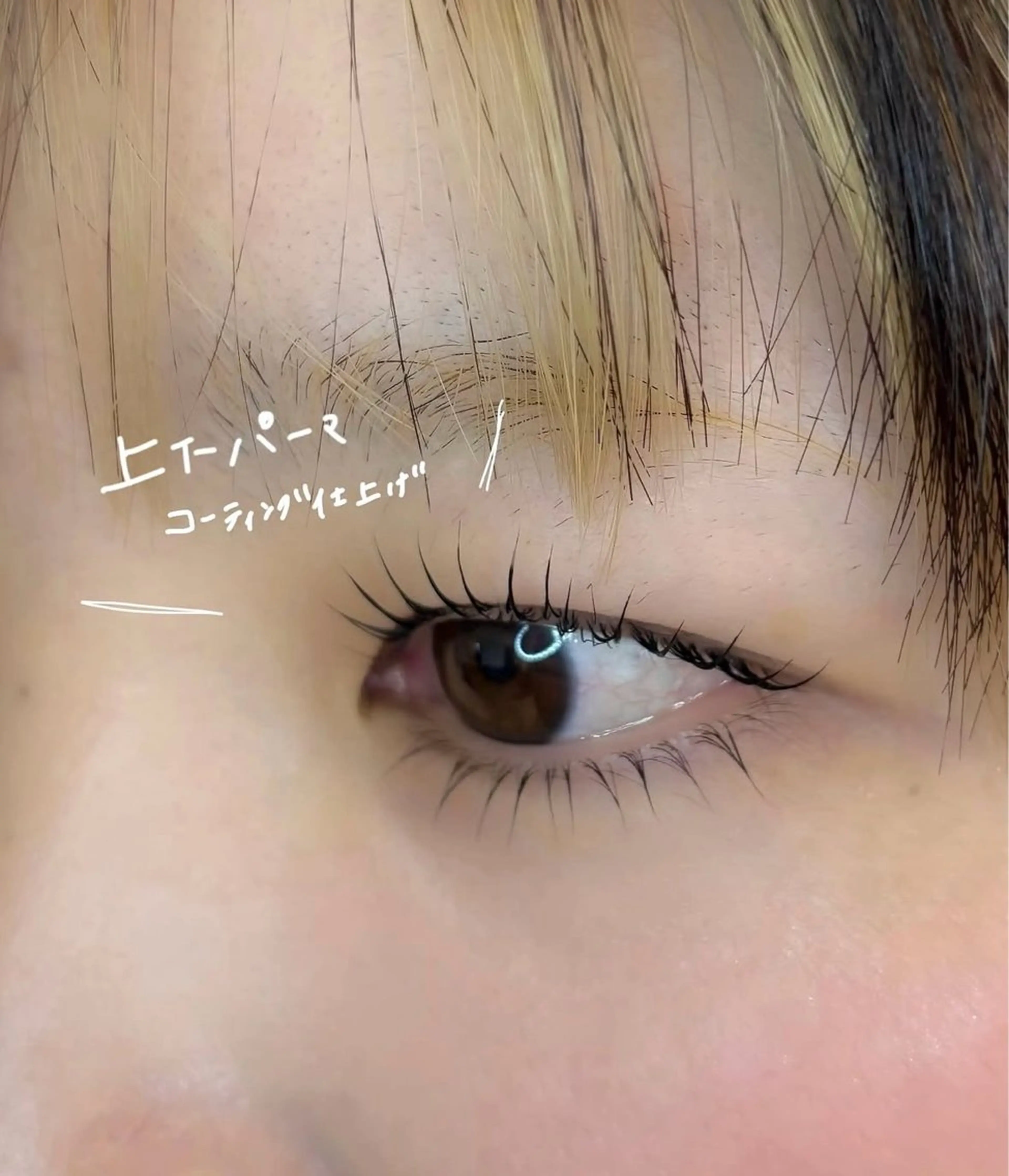 マツエク・マツパ マツパ Larme kasumiのマツエク・マツパデザイン