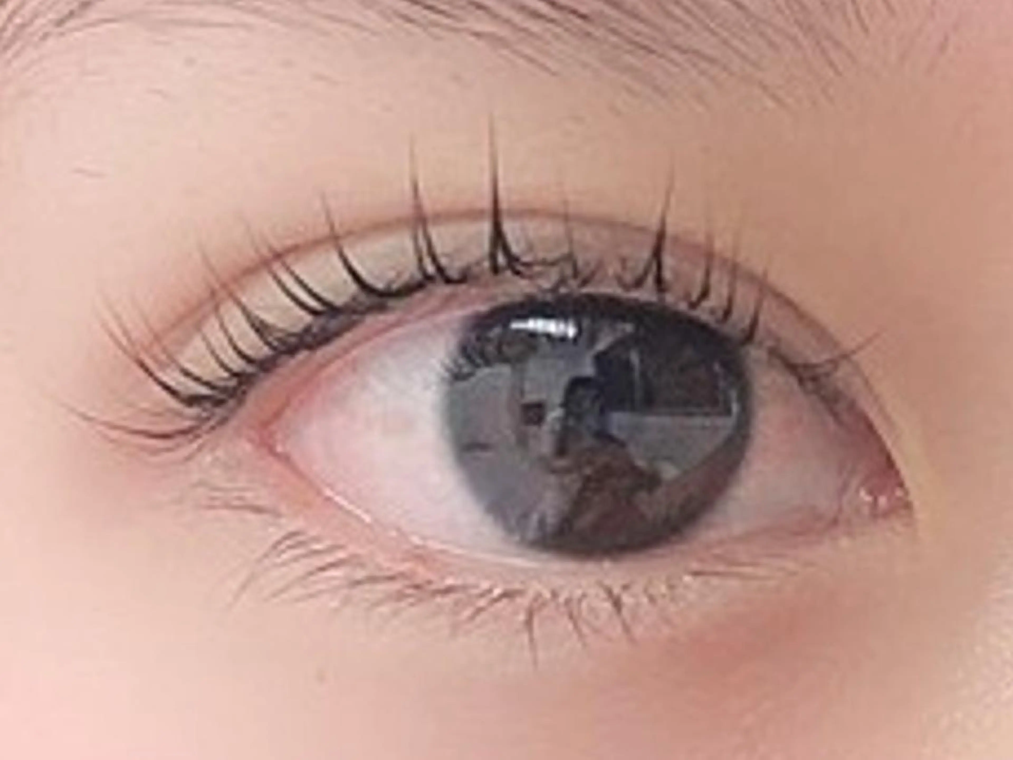 マツエク・マツパ Cカール ナチュラル まつげパーマ まつげパーマ専門店 シャルナ　柏店のマツエク・マツパデザイン