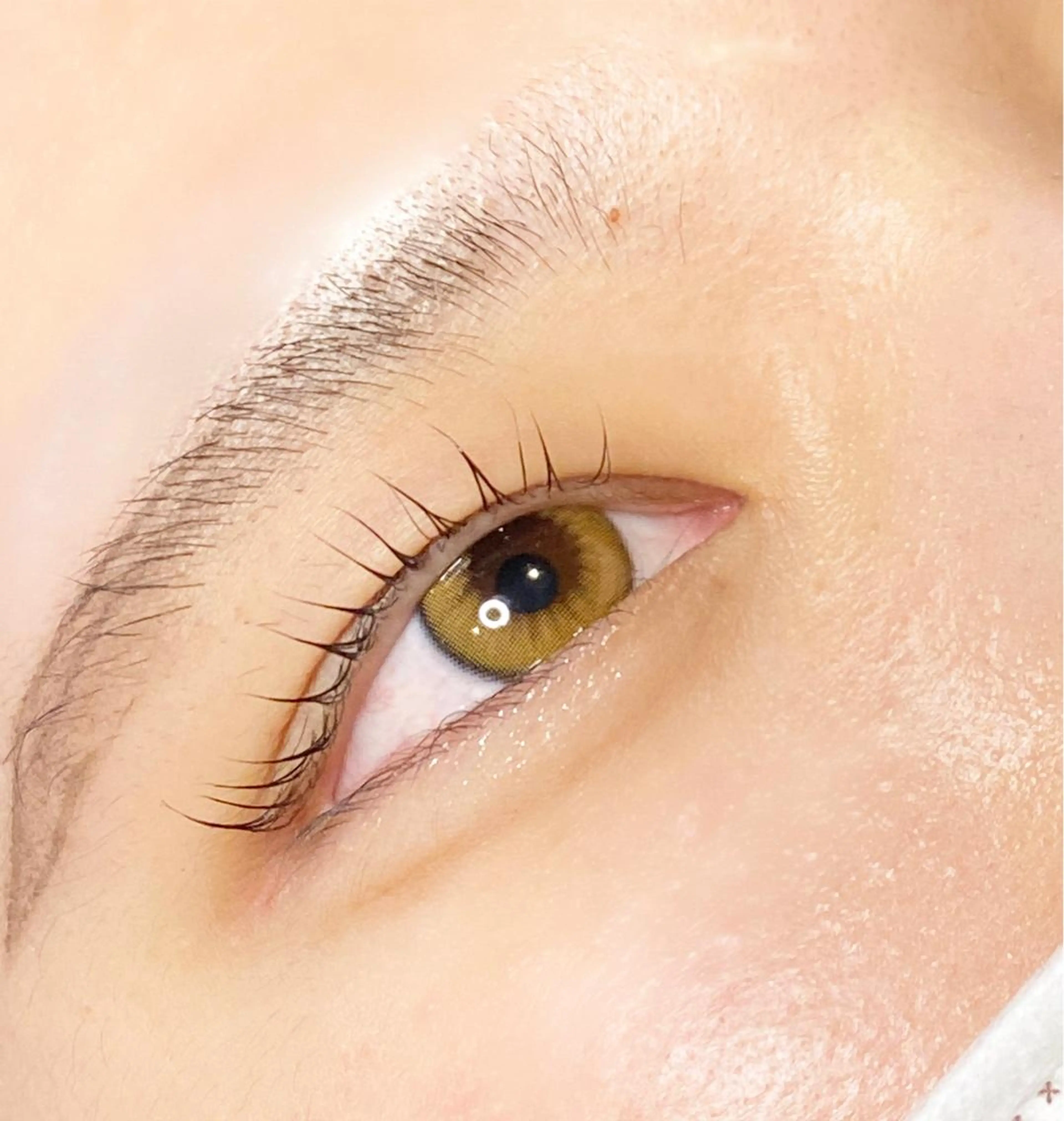 マツエク・マツパ Cカール Dカール Dahlia beauty新岩聖可のマツエク・マツパデザイン