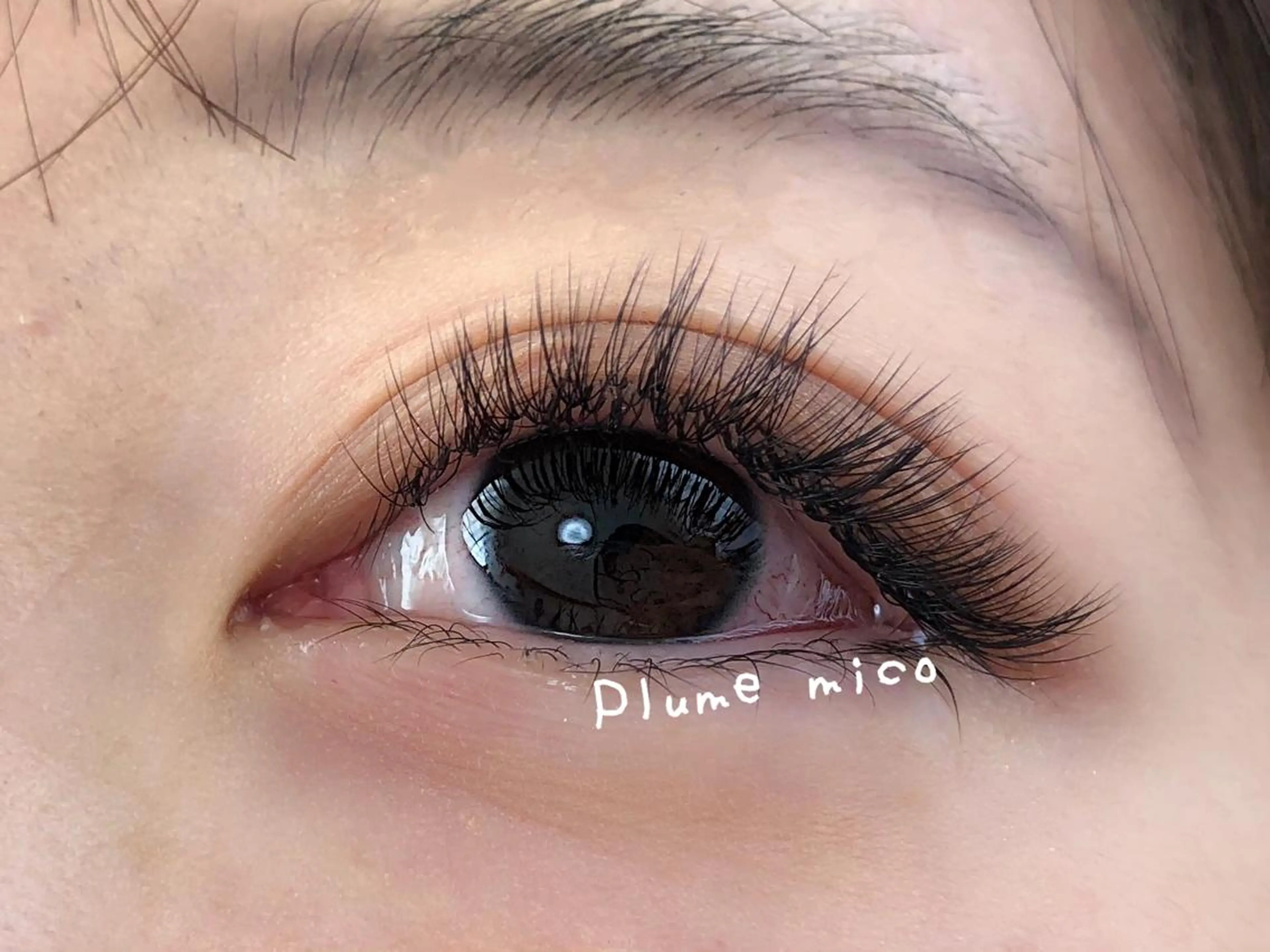 マツエク・マツパ キュート マツエク Plume micoのマツエク・マツパデザイン