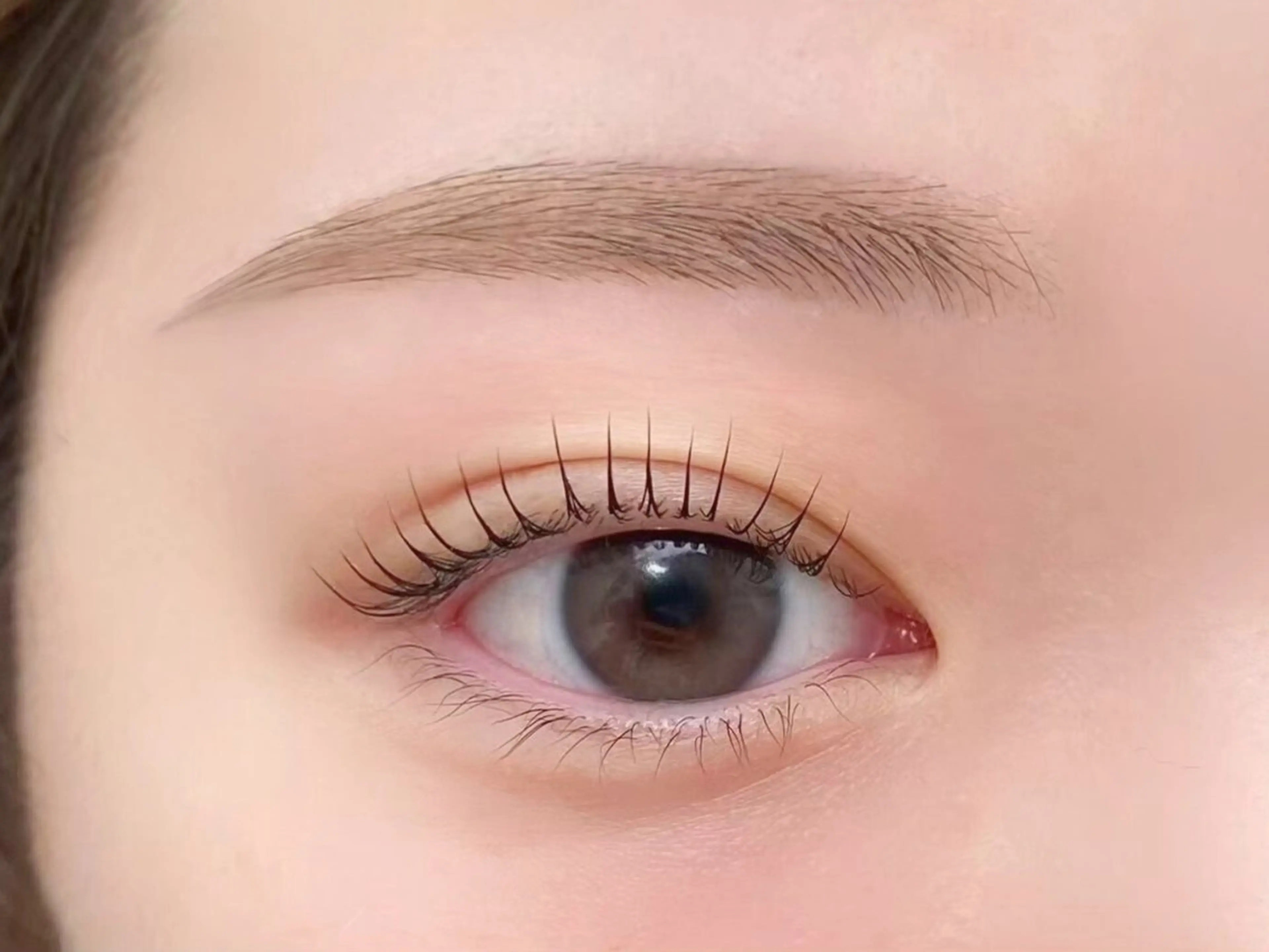 🈳4/16のみ‼️/アイブロウワックス➕まつぱセットメニュー🌱無料モデル🤍日時指定有り/🈳詳細要確認❕の写真