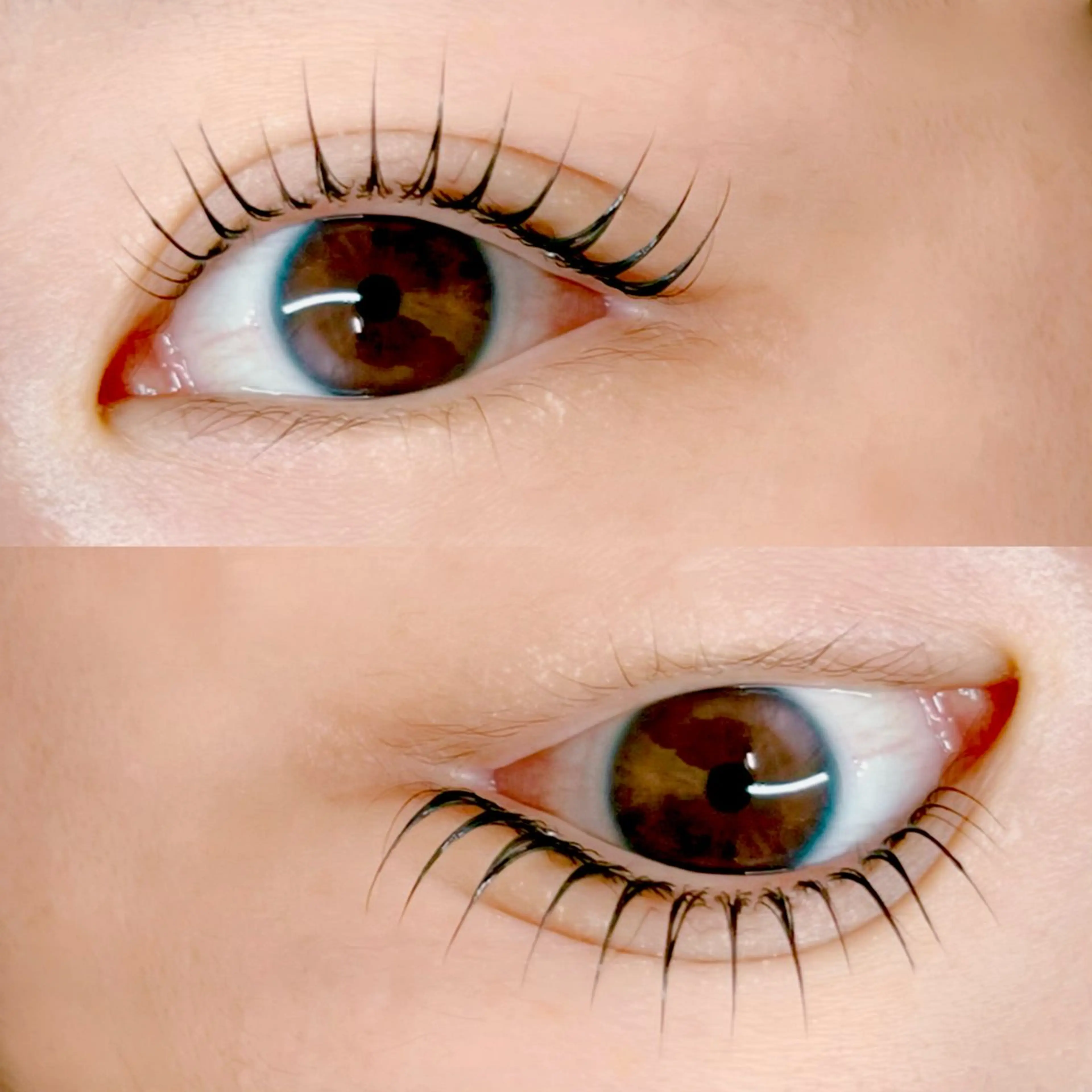 【4月平日限定】パリジェンヌorまつげパーマ◎ 3STEPケア付で艶まつげ ￥4500の写真