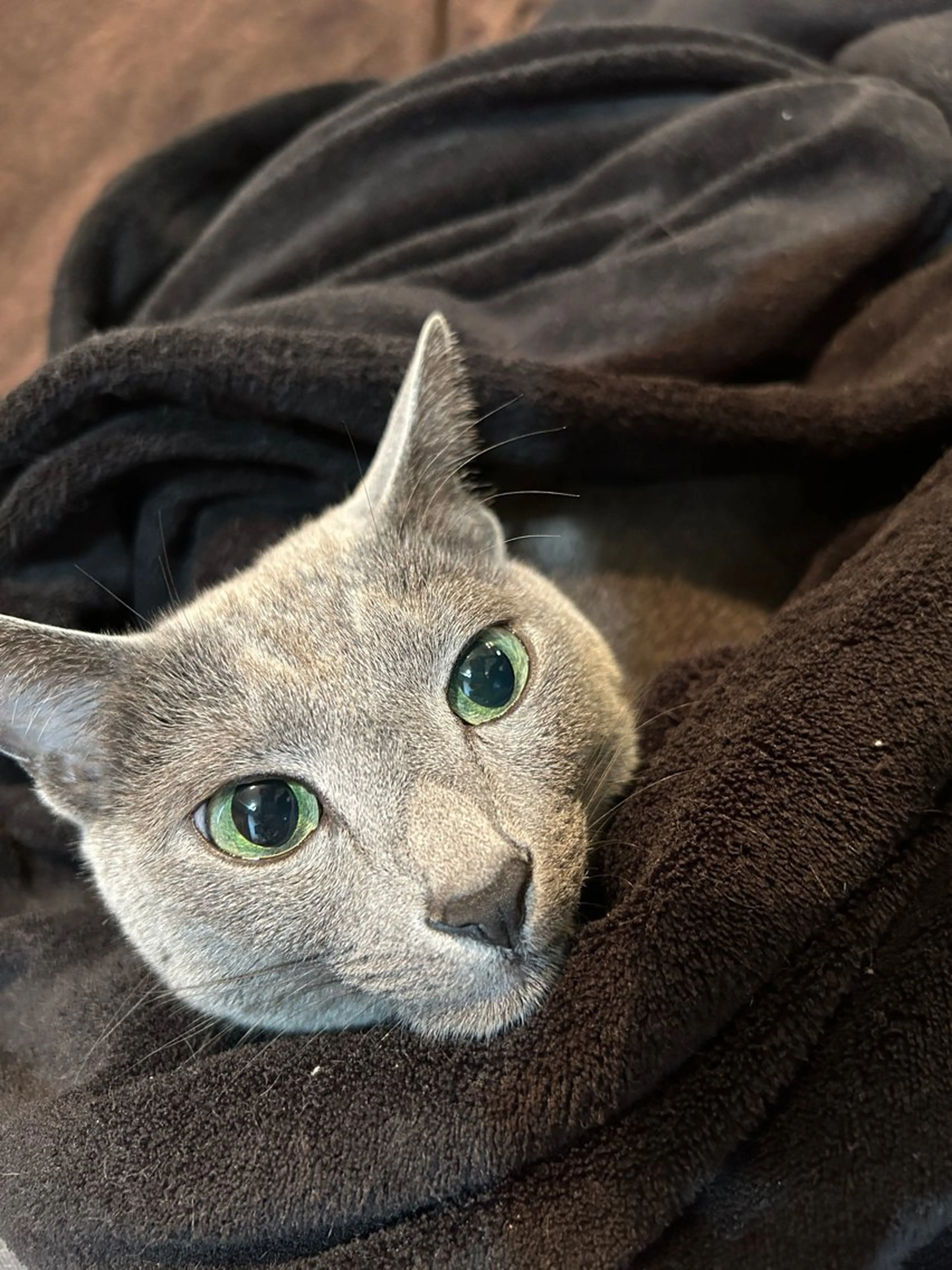 ショート カラー パーマ ヘアアレンジ アニメ,Vオタク× 即効痩せエステサロンのエステ・リラクイメージ