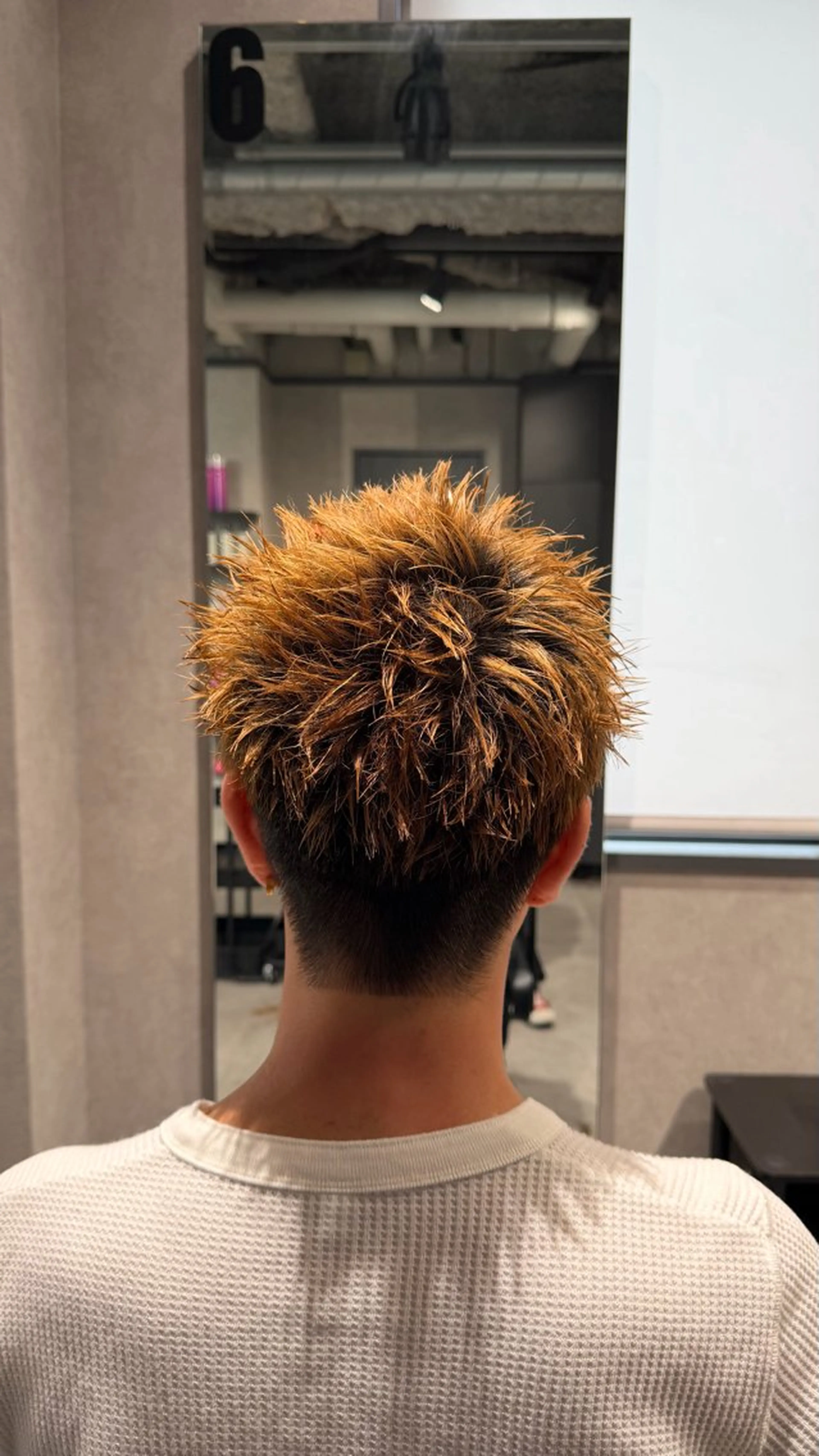 カット、シャンプーセット付きの写真