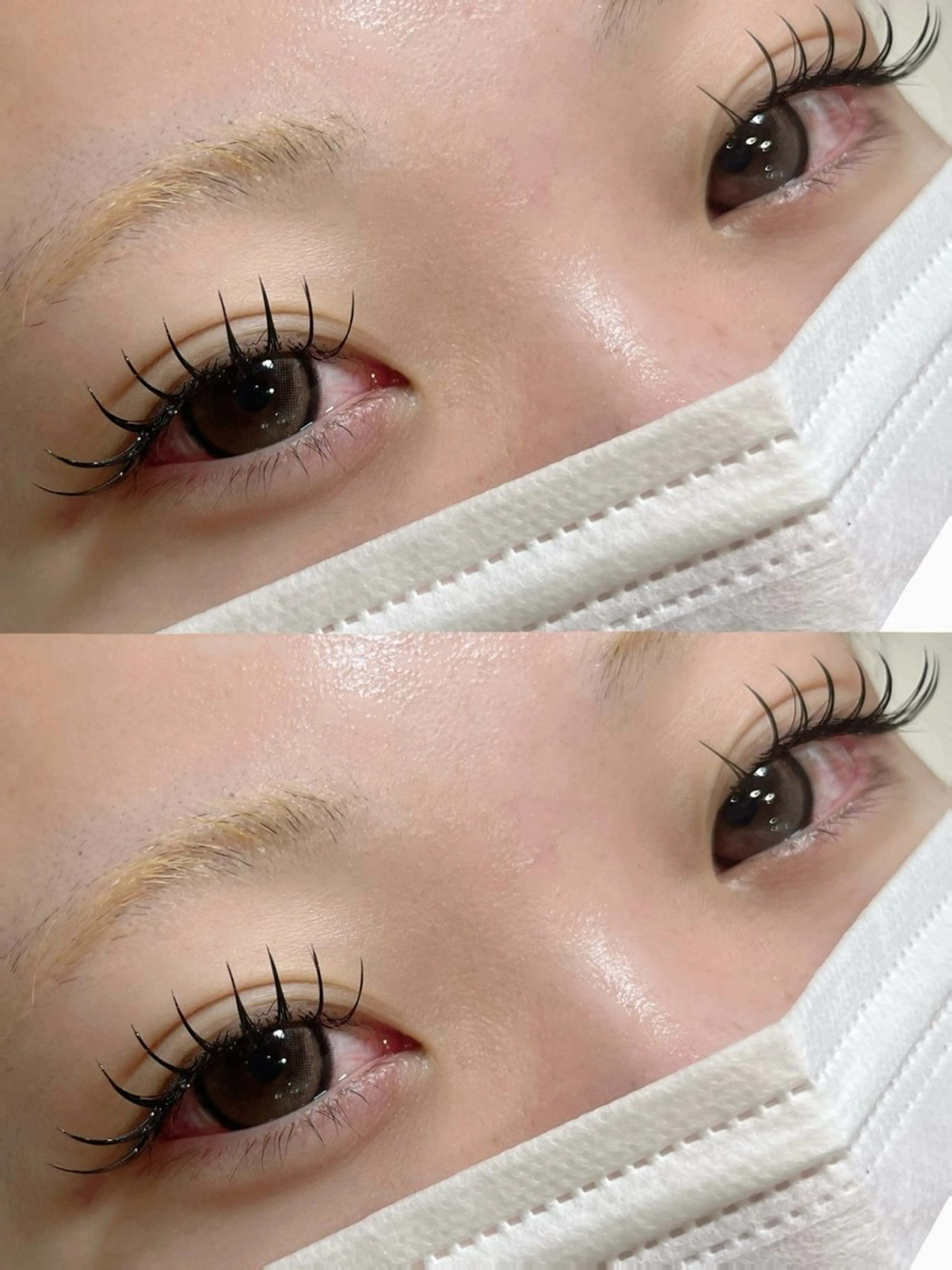 アイブロウWAX+LEDフラットラッシュ120束🍒（オフ、コーティング込み）の写真