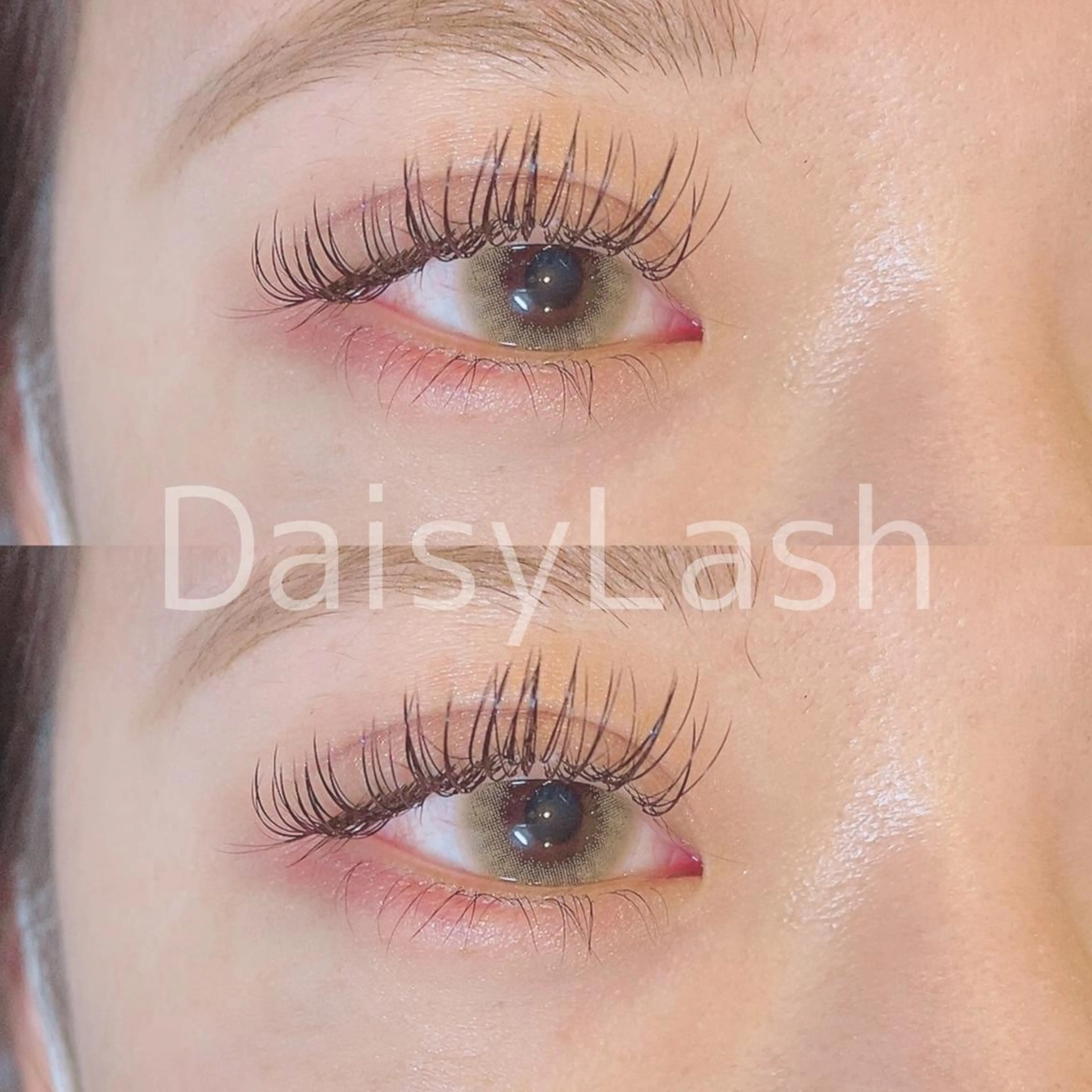 マツエク・マツパ DaisyLash 京橋店のマツエク・マツパデザイン