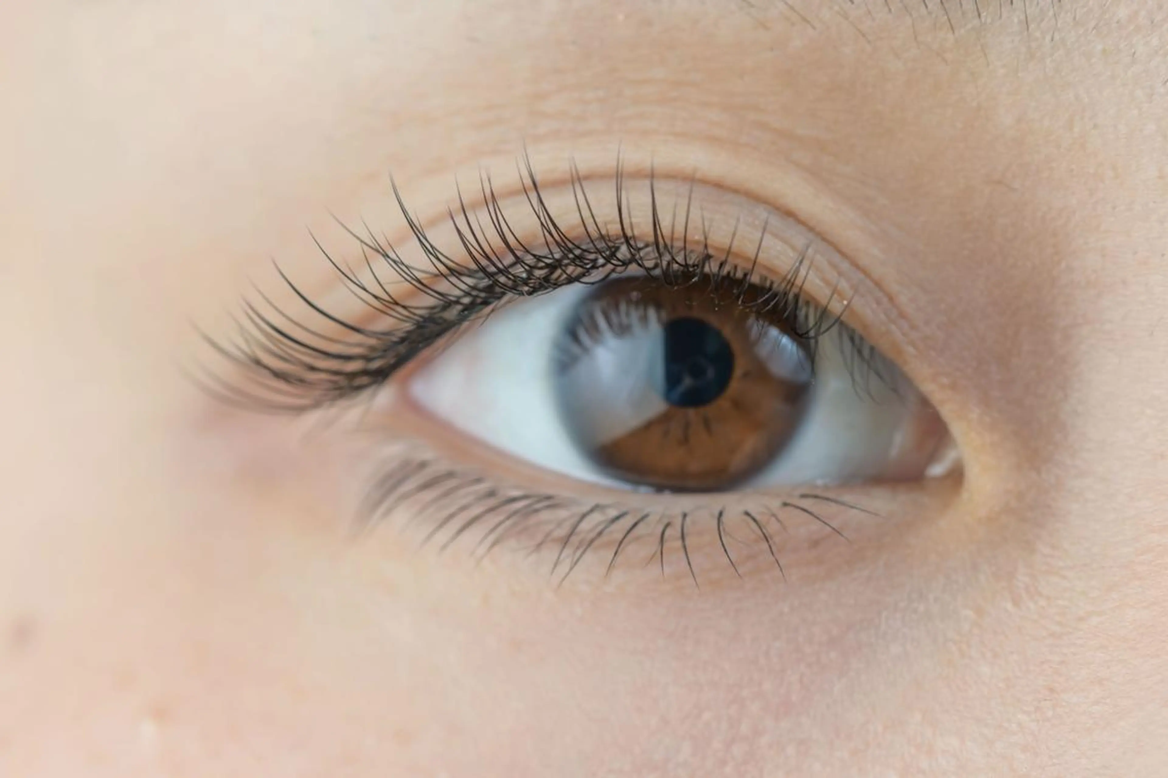 🌼フラットラッシュエクステ130本まで《オフ別プラス"500円"》の写真