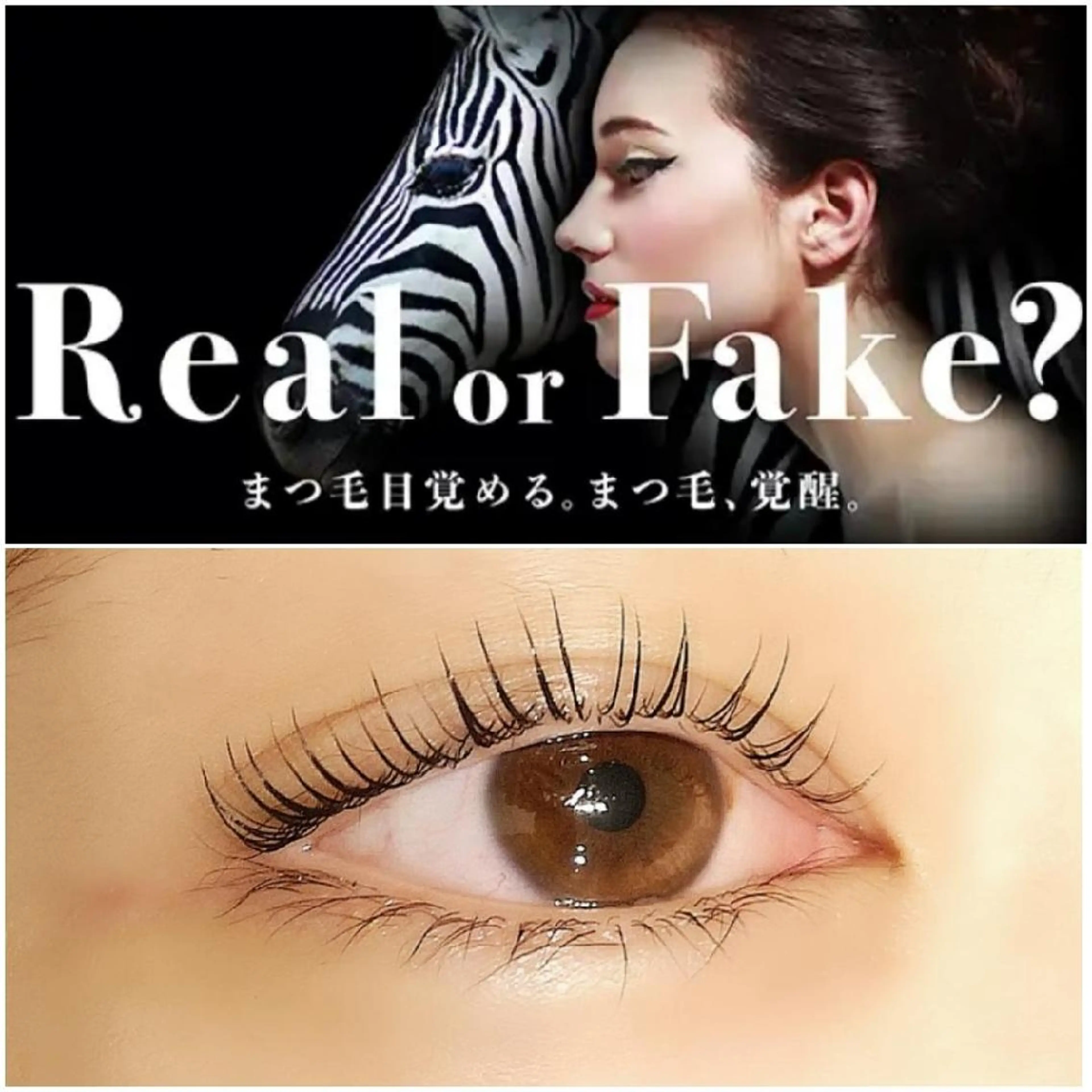 ★ラッシュアディクトサロンケア＋似合わせまつげパーマの写真