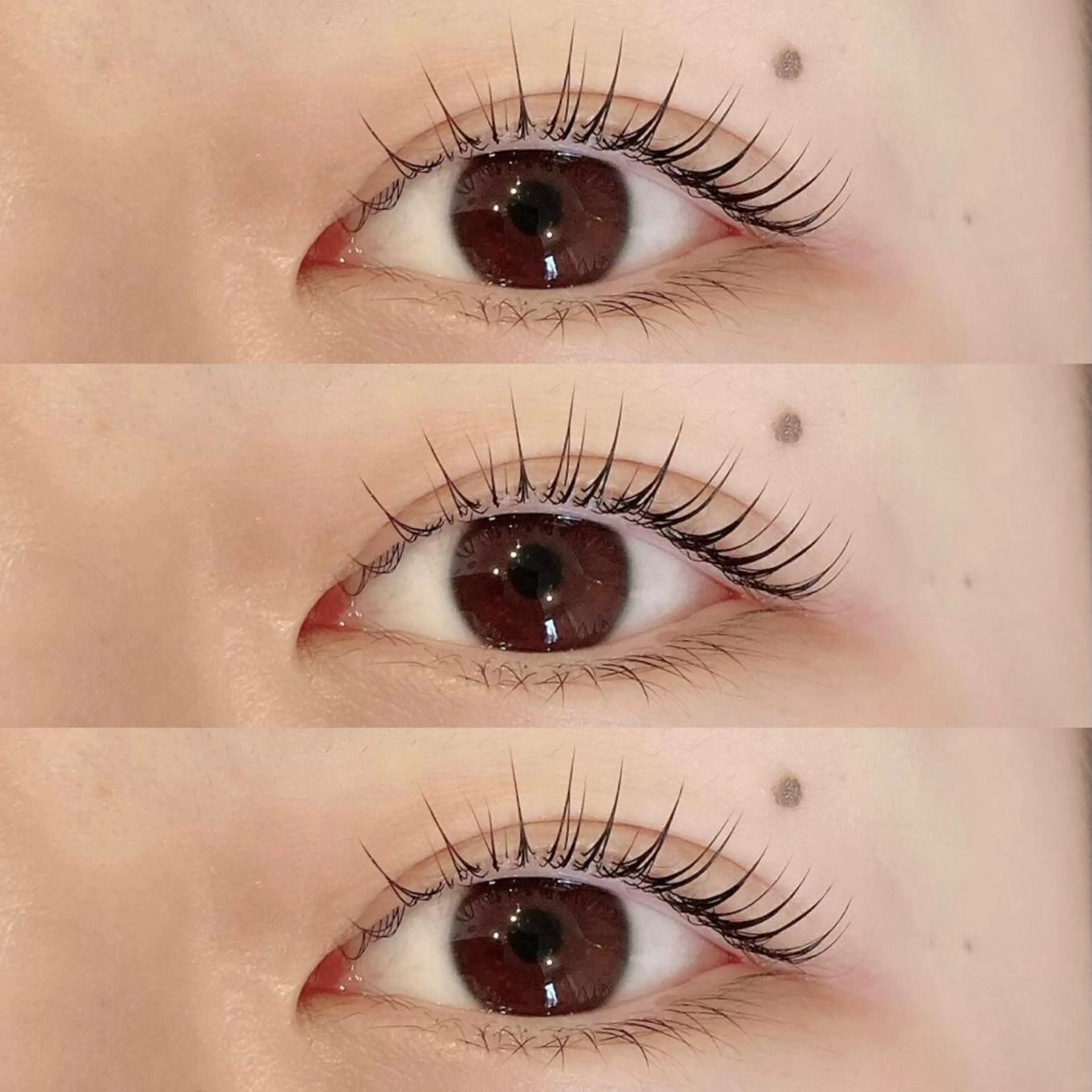 マツエク・マツパ 束感/LED/まつパ 🌼segawaのマツエク・マツパデザイン