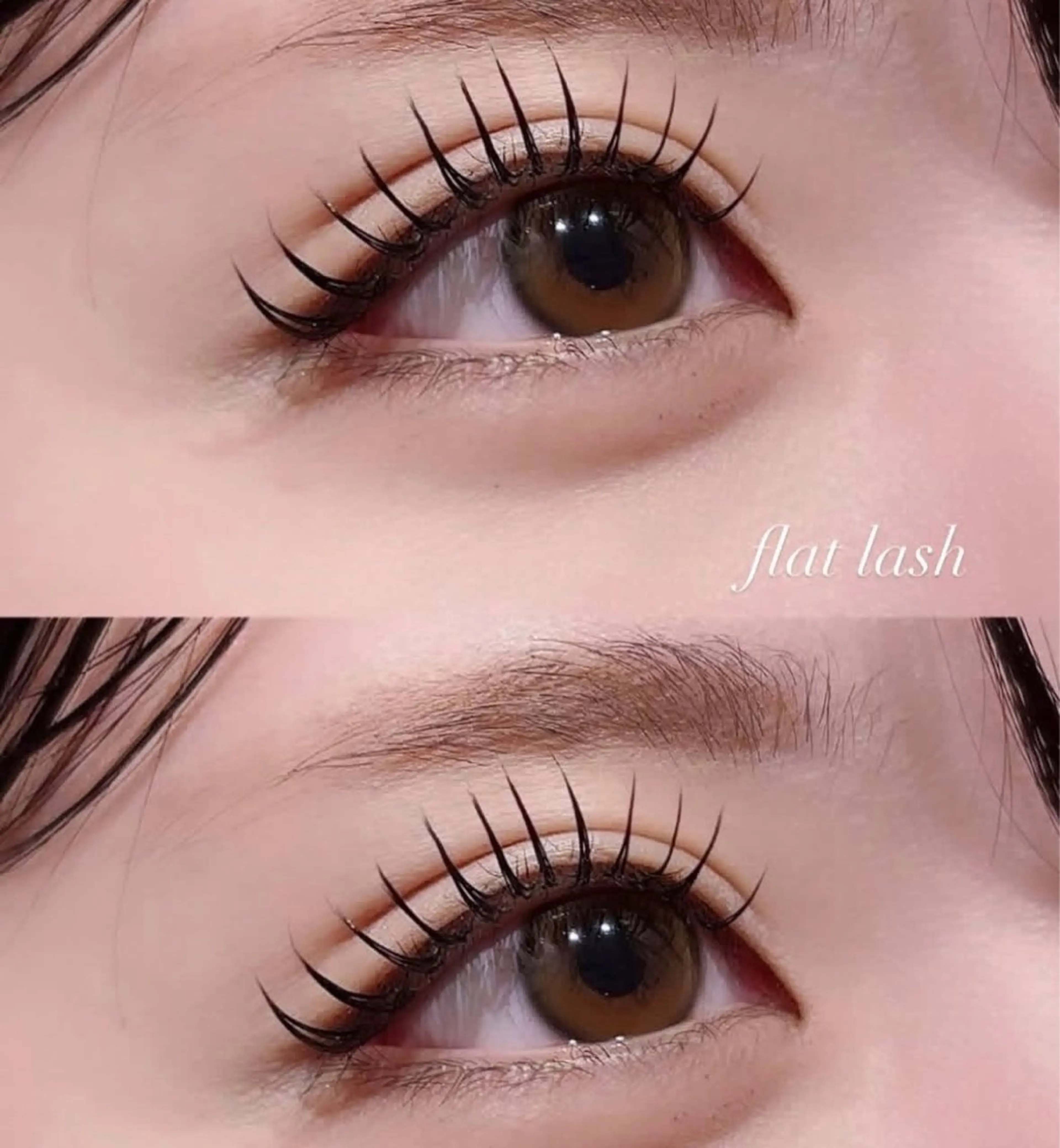 セーブルorフラット 120本(オフなし)の写真