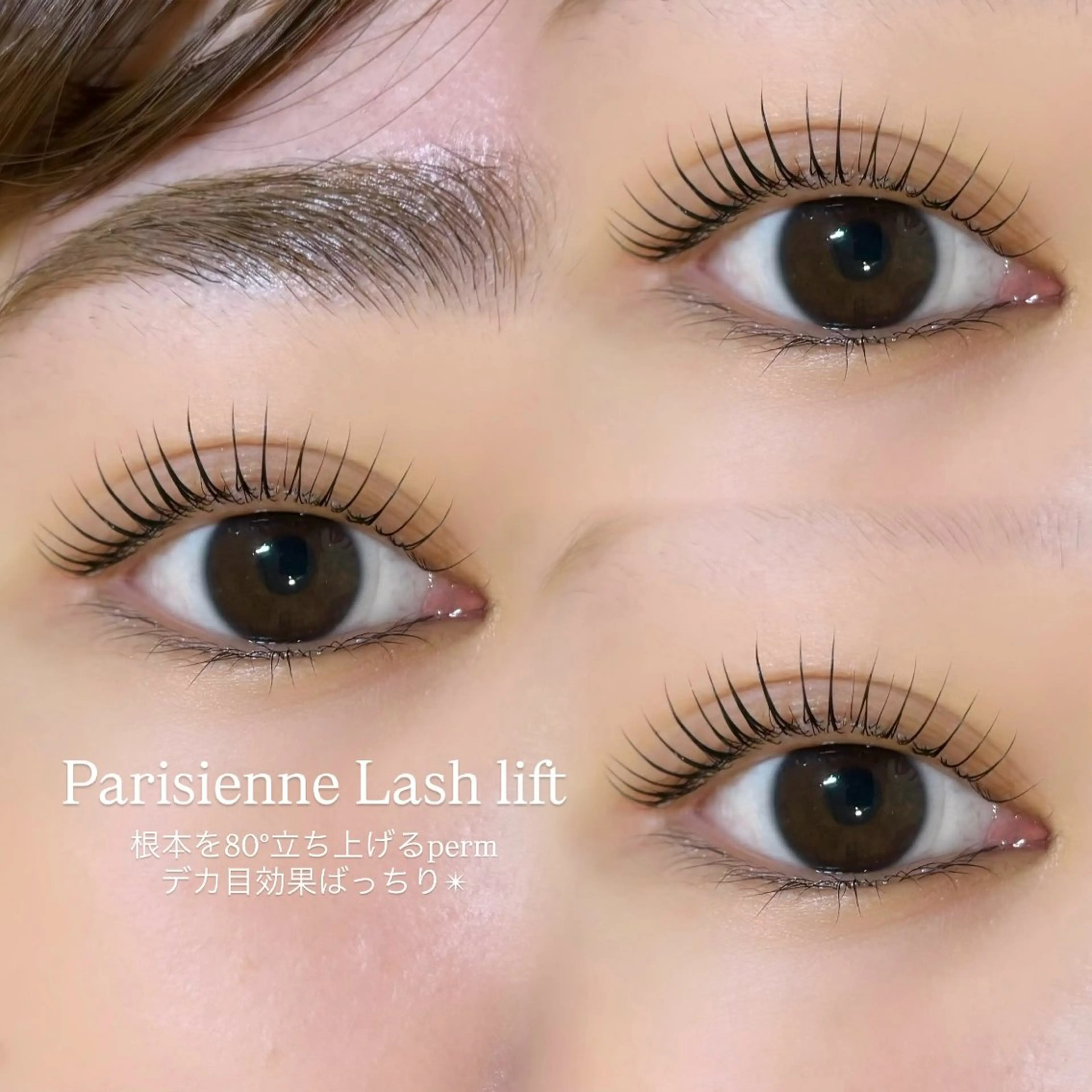 マツエク・マツパ マツパ 束感/LED/まつパ 🌼segawaのマツエク・マツパデザイン