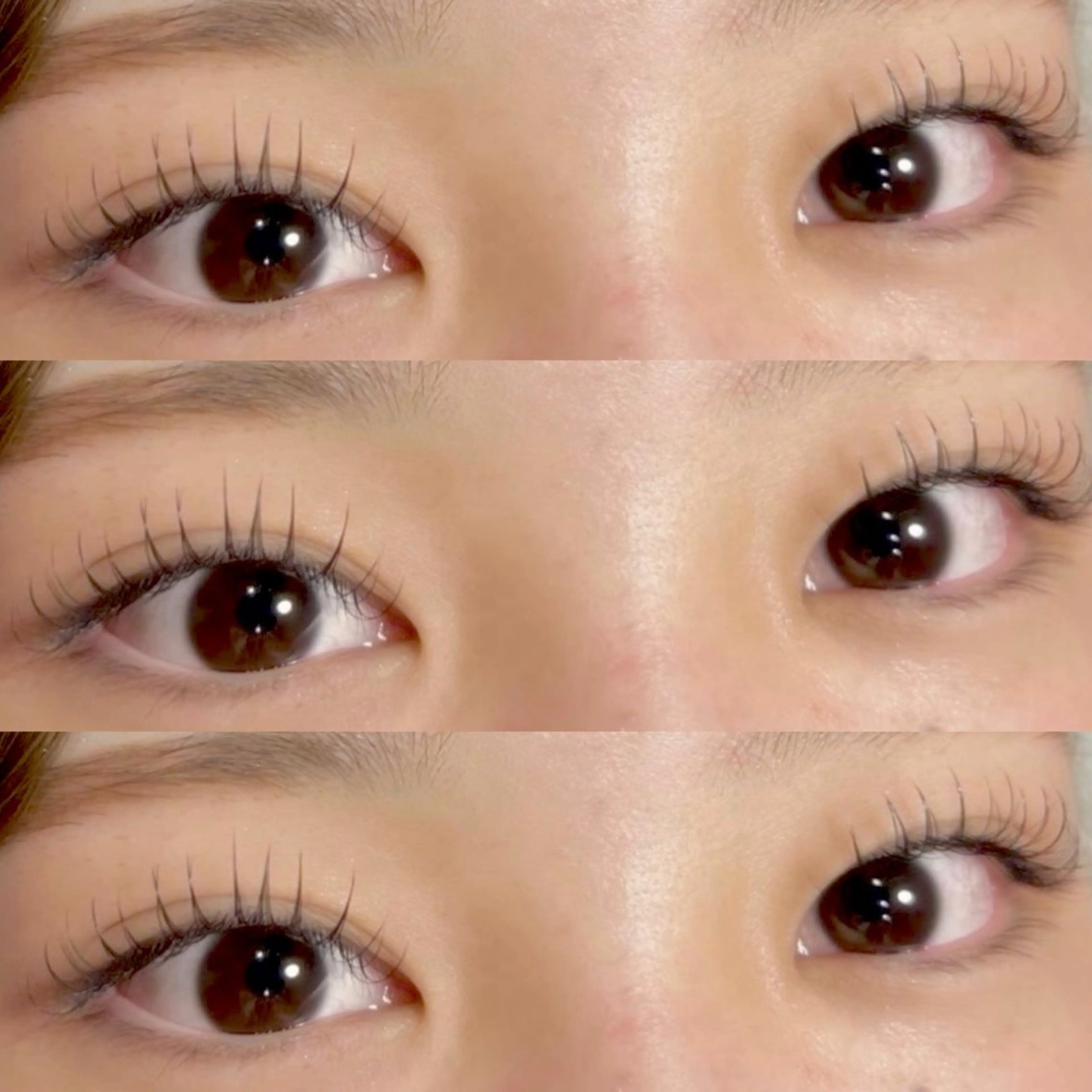 シングルラッシュ 40本の写真