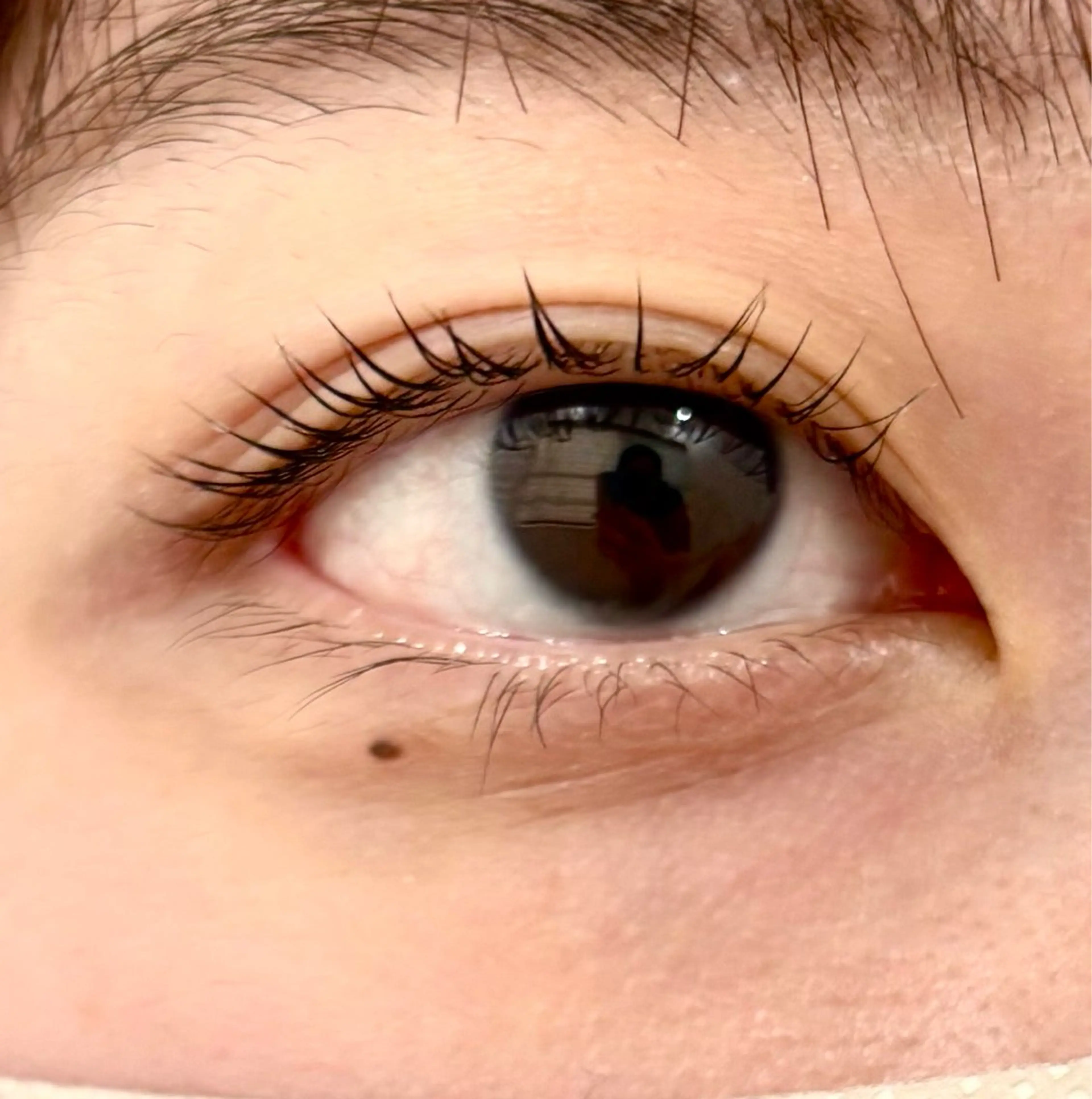 マツエク・マツパ カルフールノア大船/ Ririの眉毛・アイブロウイメージ