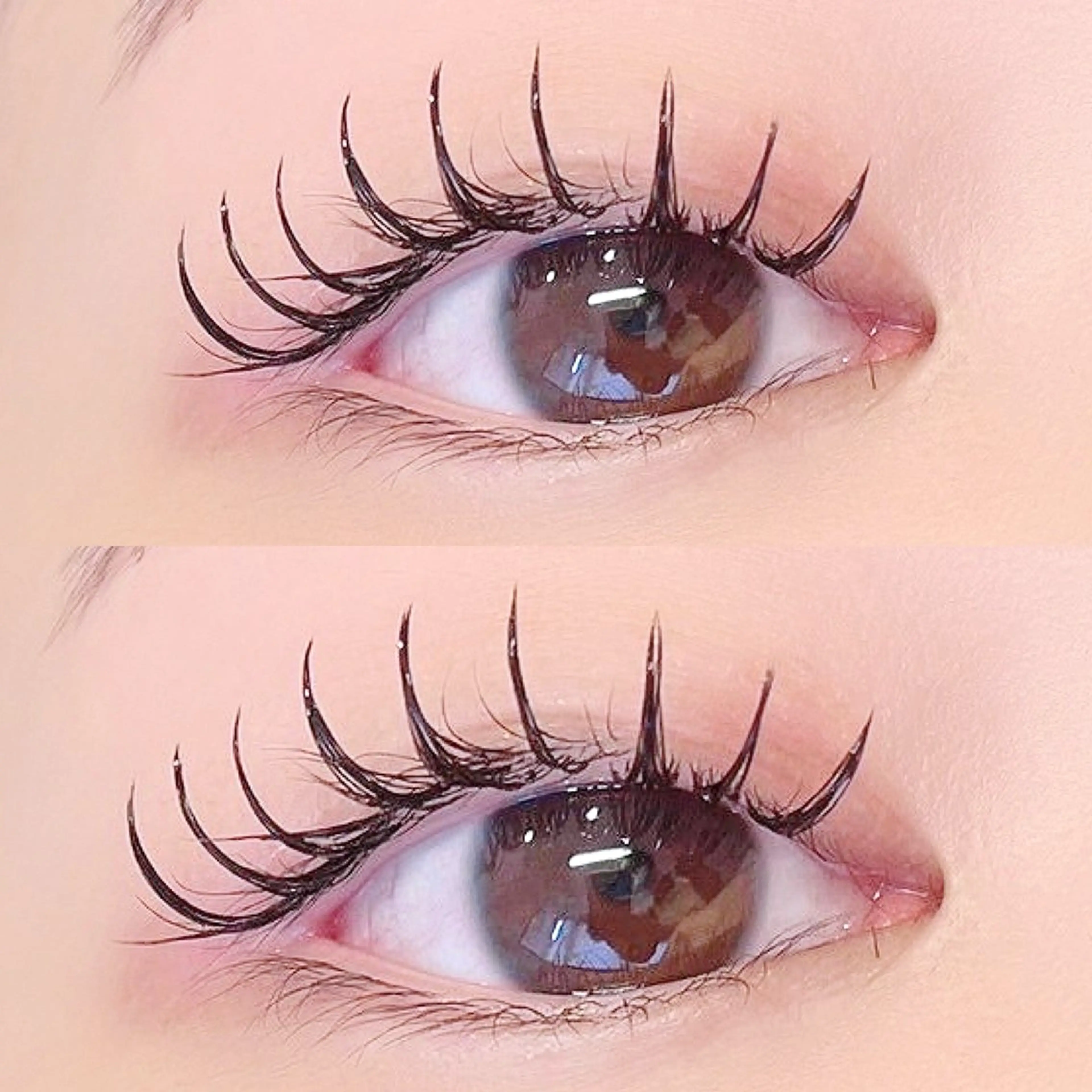 【初回限定】バインドロック120束まで付け放題🩶オフ込み🩶アイシャンプー&コーティング美容液仕上げ✨️の写真