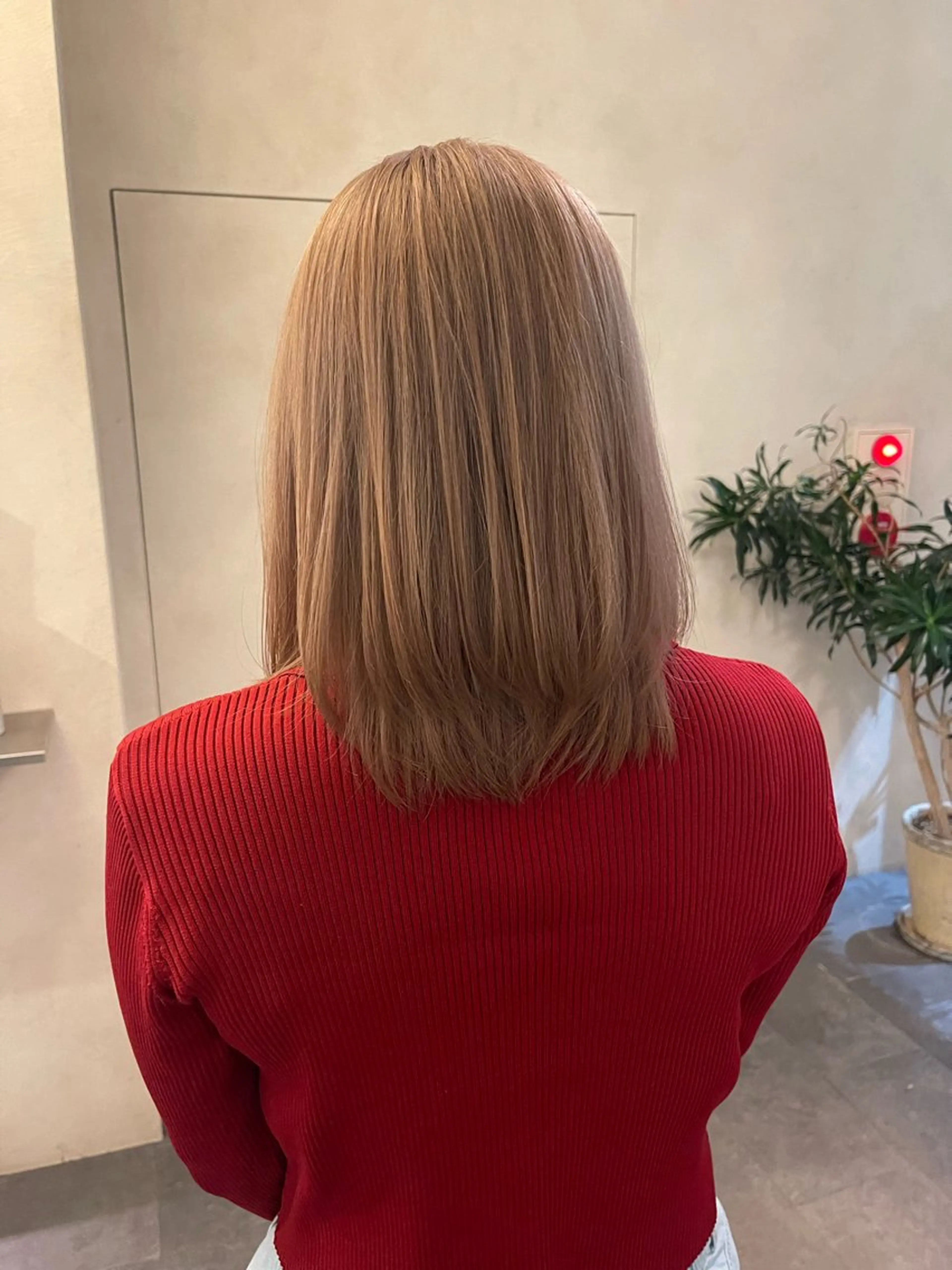 カラー Rohe by DECO所属・ハイトーンカラー otowa🎀ིྀのヘアスタイル