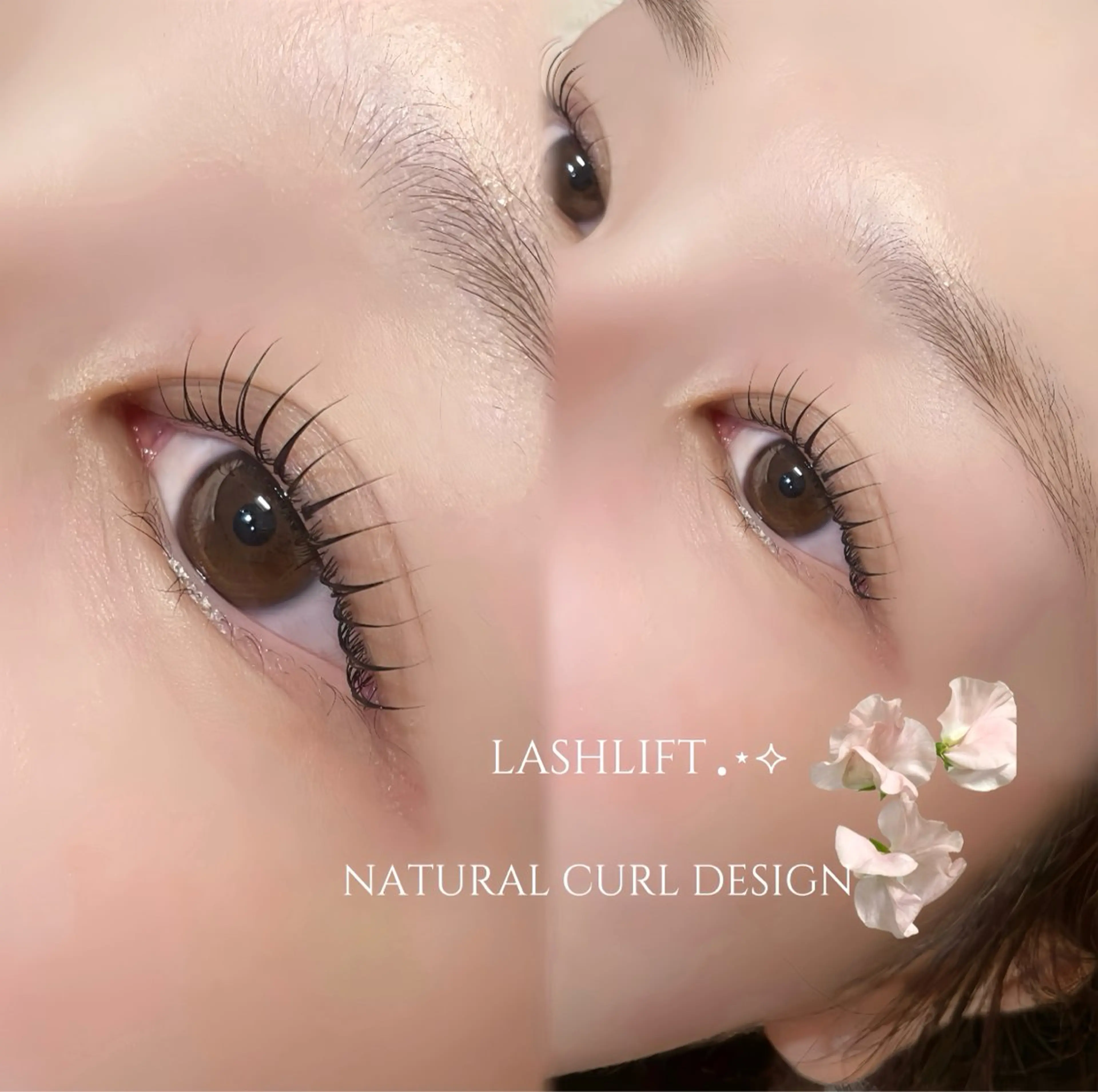 マツエク・マツパ マツパ niu⟢ Maiの眉毛・アイブロウイメージ