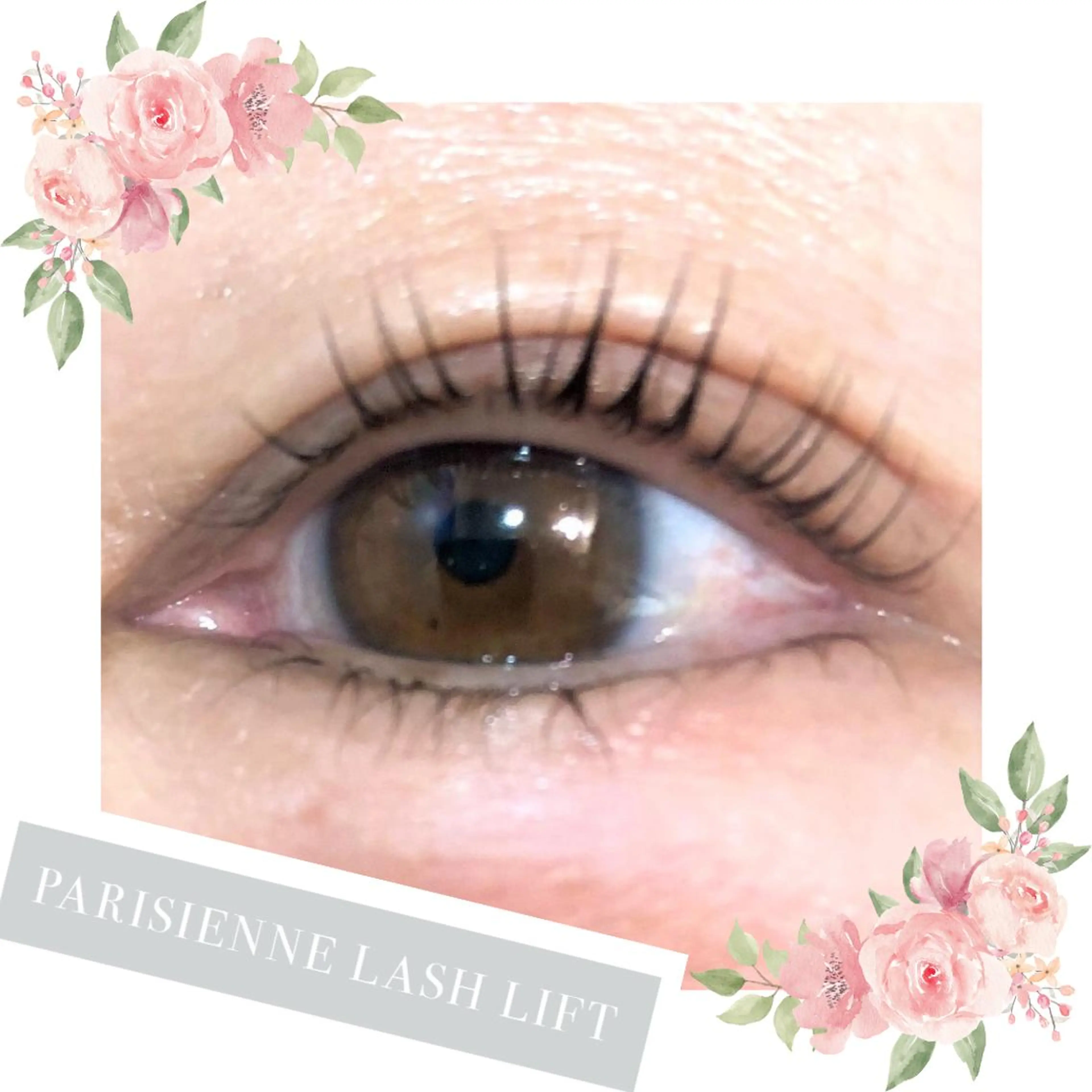 マツエク・マツパ マツパ Eyelash MAHALOのマツエク・マツパデザイン