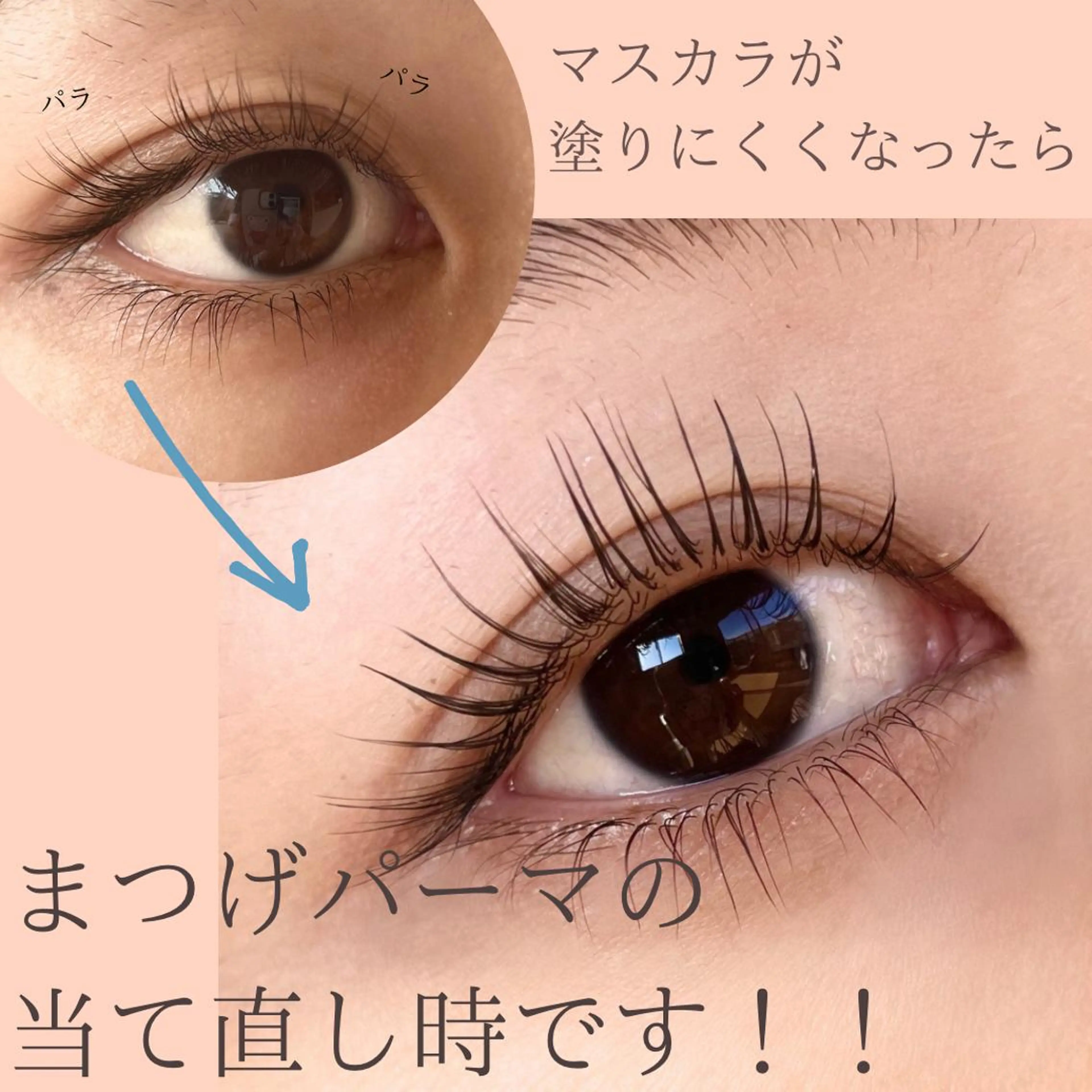 マツエク・マツパ ボウ🪞ヘアセット /マツパ/眉毛のマツエク・マツパデザイン