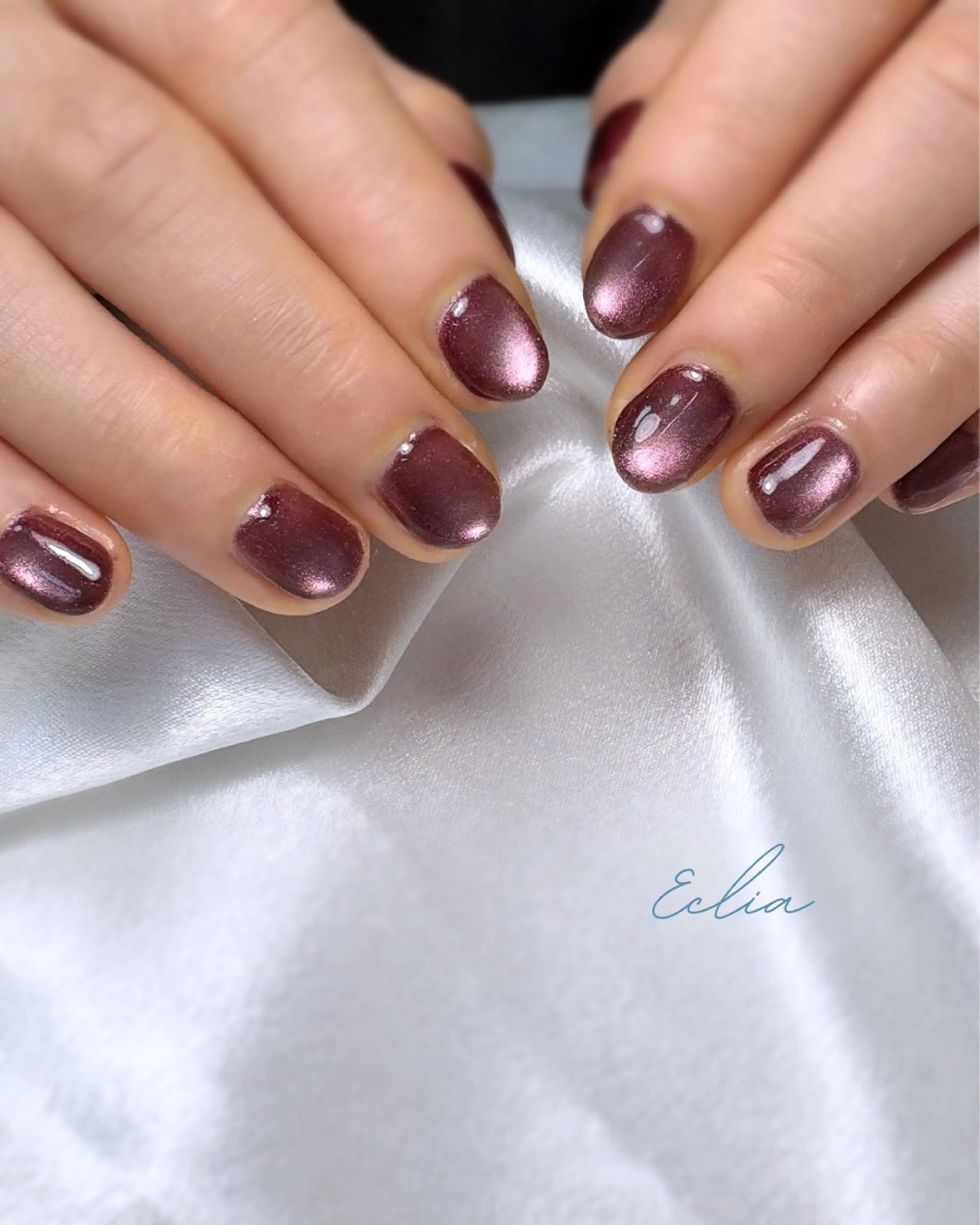 ネイル マグネットネイル ハンドネイル nailsalon Ecliaのネイルデザイン