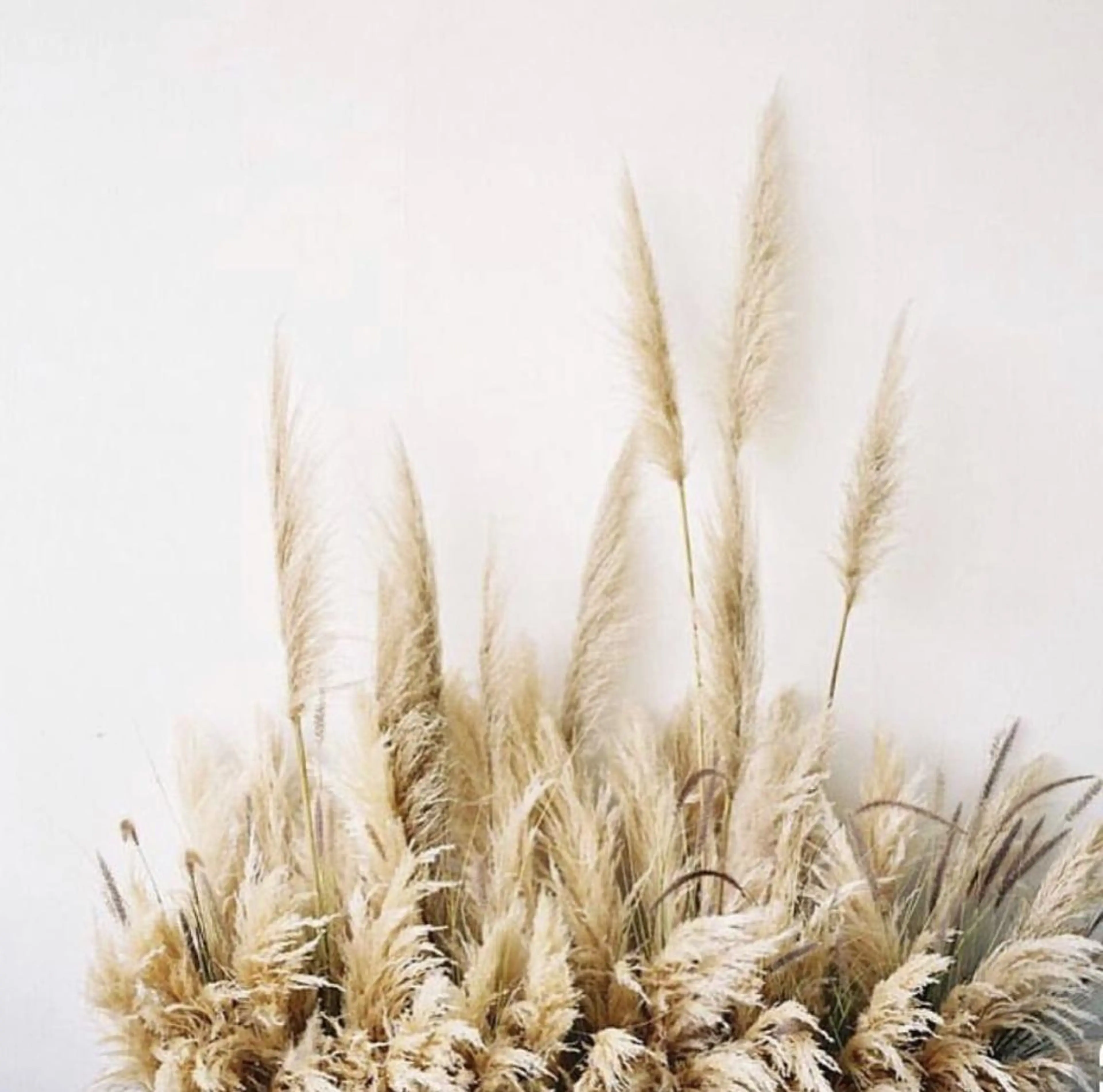 マツエク・マツパ Natsumi フェイシャル/マツパのマツエク・マツパデザイン